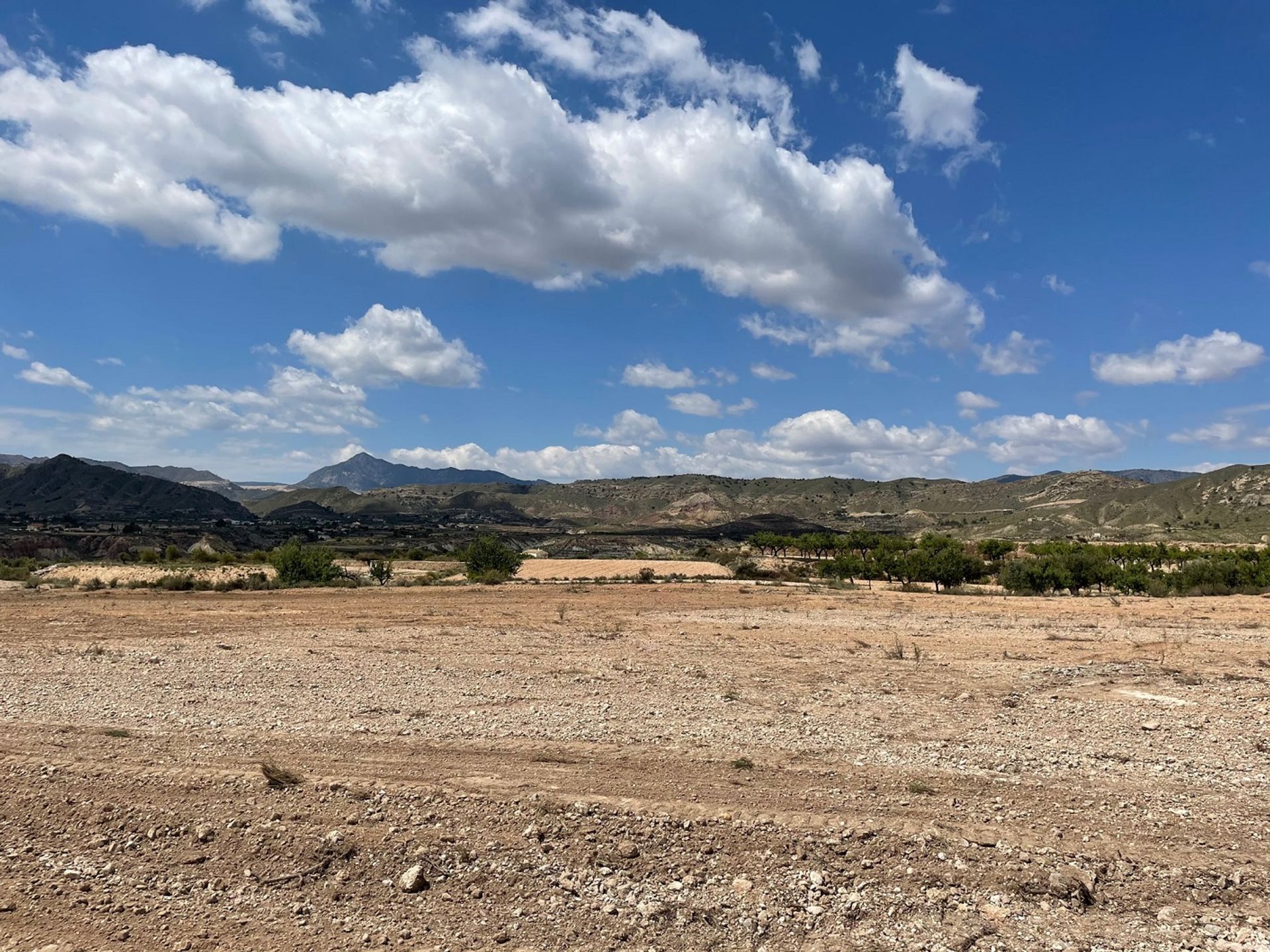 Terra no Abanilla, Región de Murcia 10723382