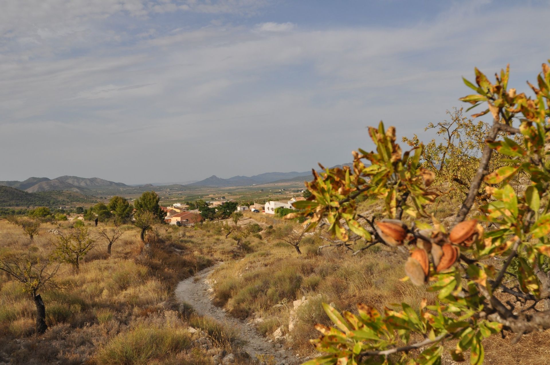 Land in Casas del Señor, Valencia 10723387