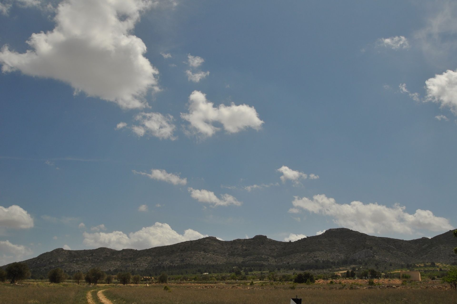 Land i Yecla, Región de Murcia 10723405