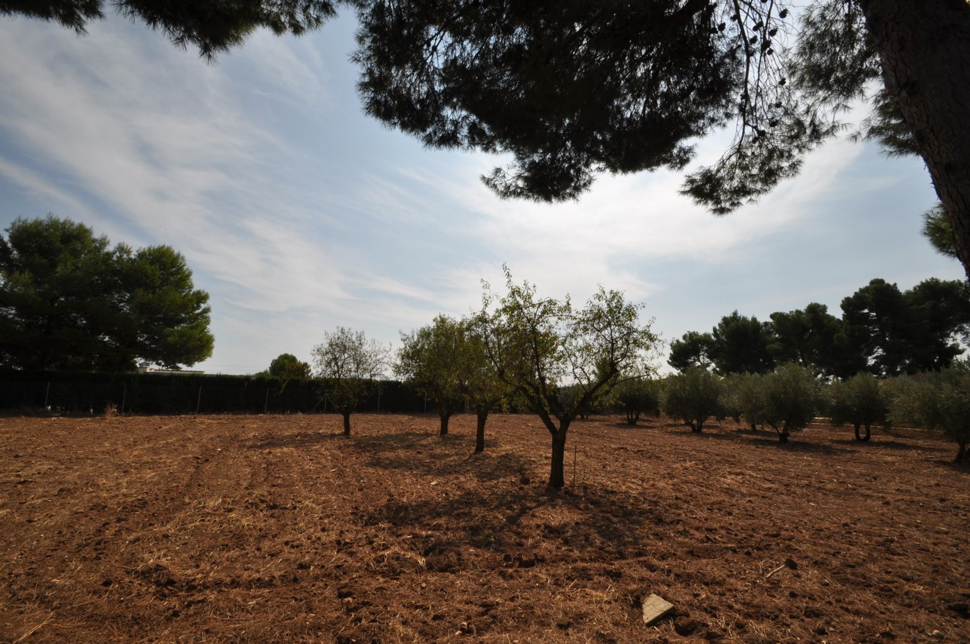 σπίτι σε Yecla, Región de Murcia 10723425