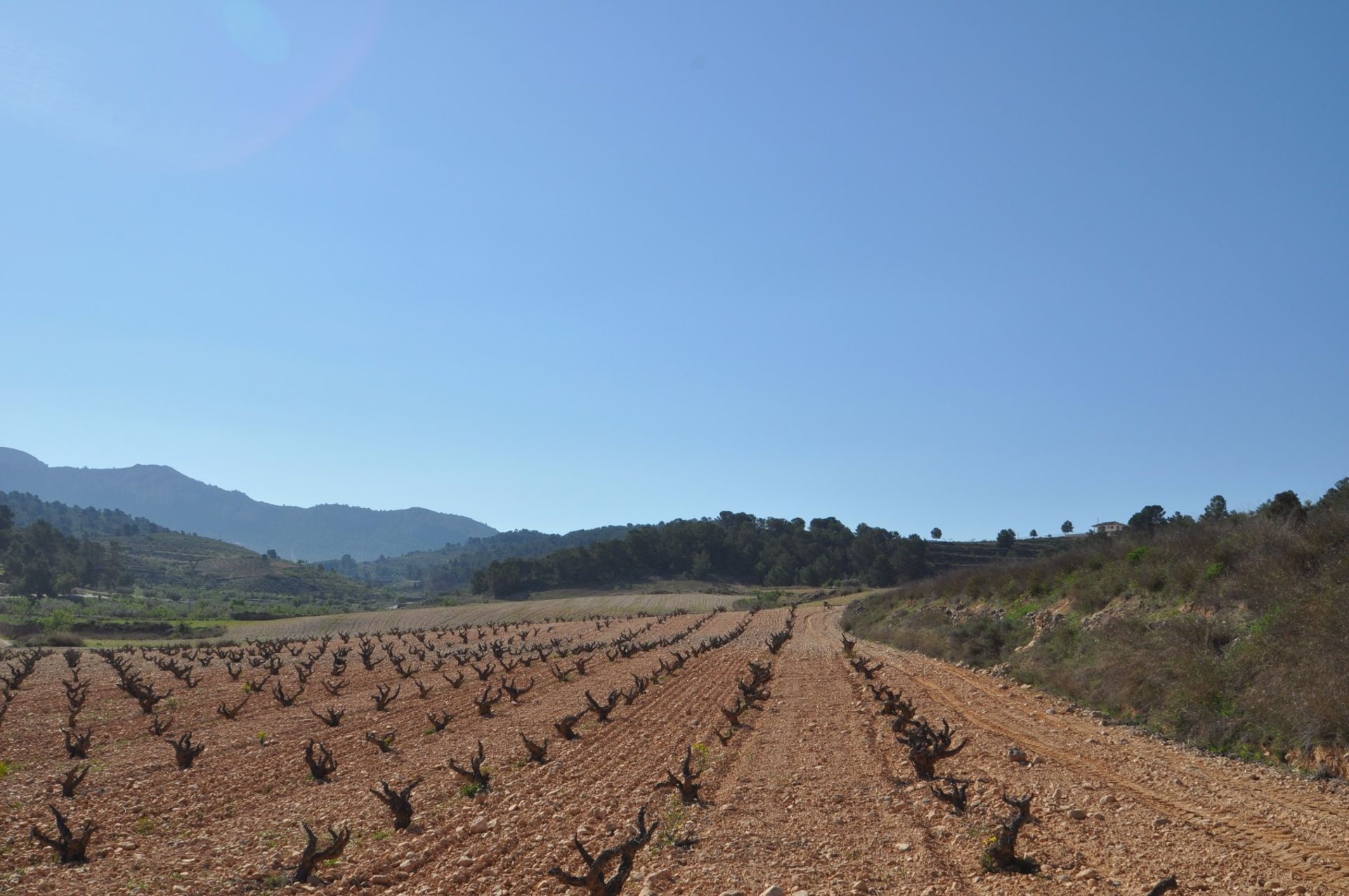 Земля в La Zarza, Región de Murcia 10723471