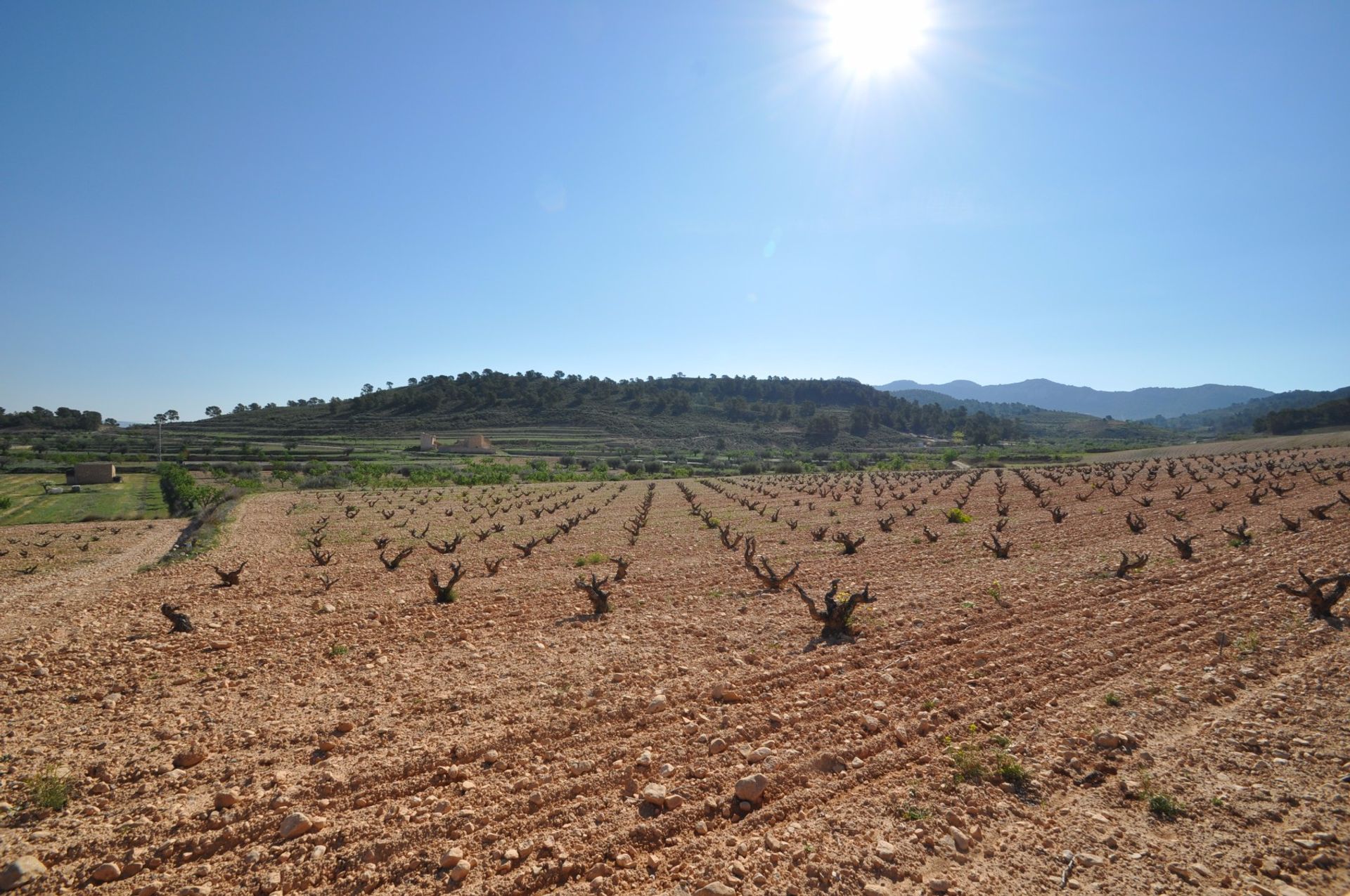 Sbarcare nel La Zarza, Región de Murcia 10723471