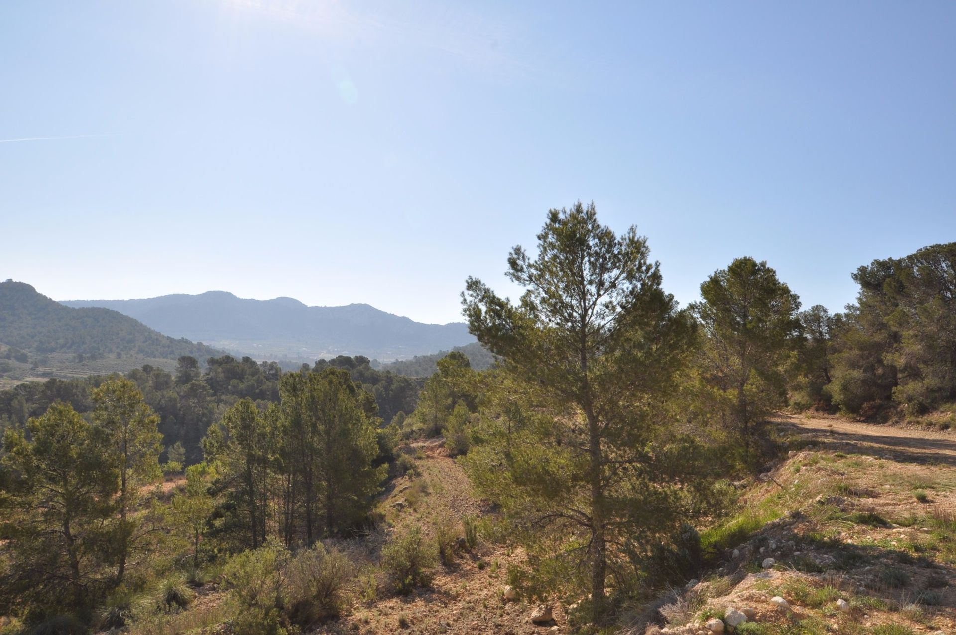 Terra no La Zarza, Región de Murcia 10723473