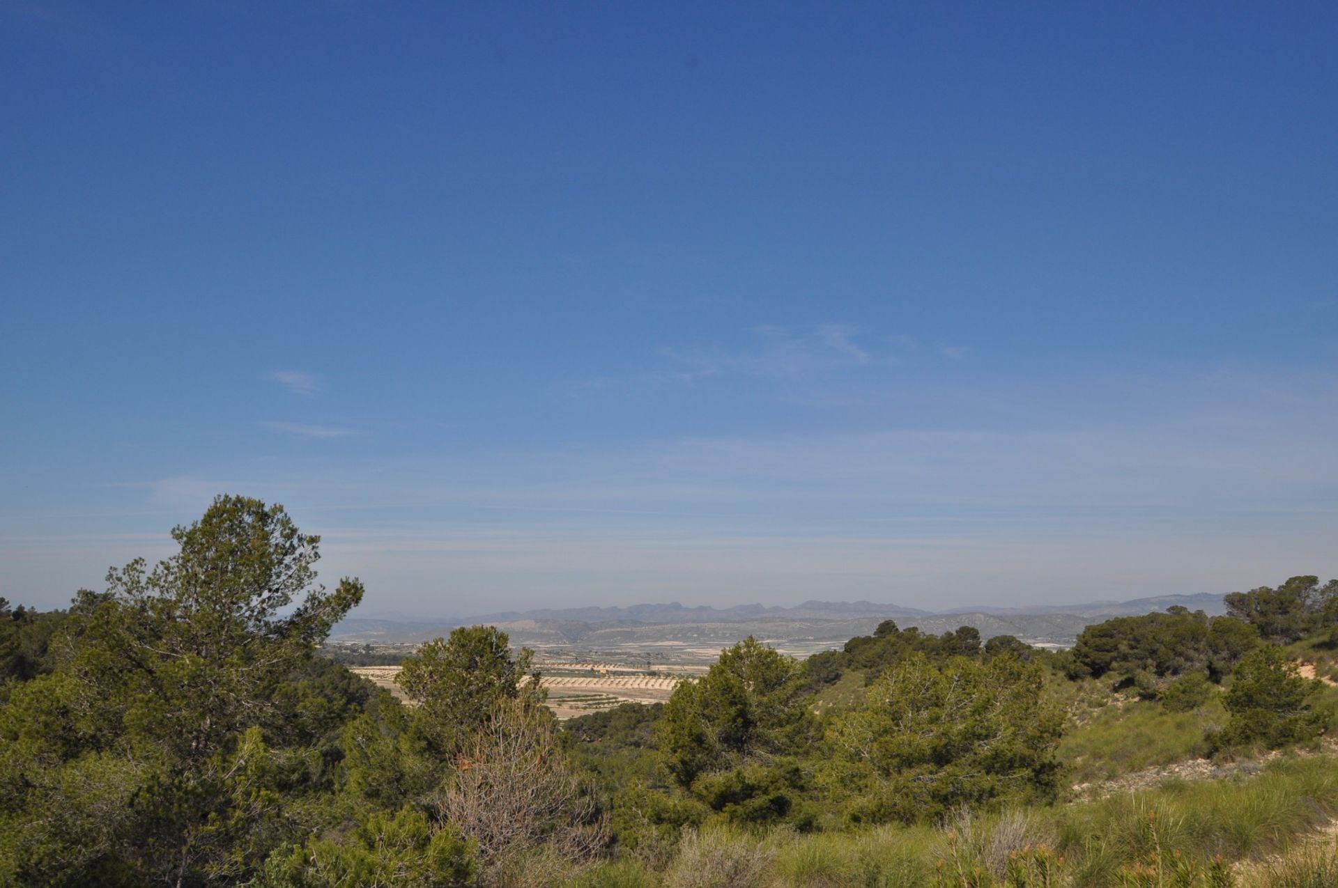 나라 에 La Zarza, Región de Murcia 10723473