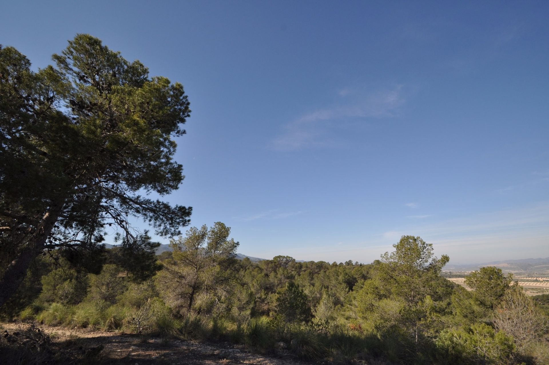 Land i La Zarza, Región de Murcia 10723473