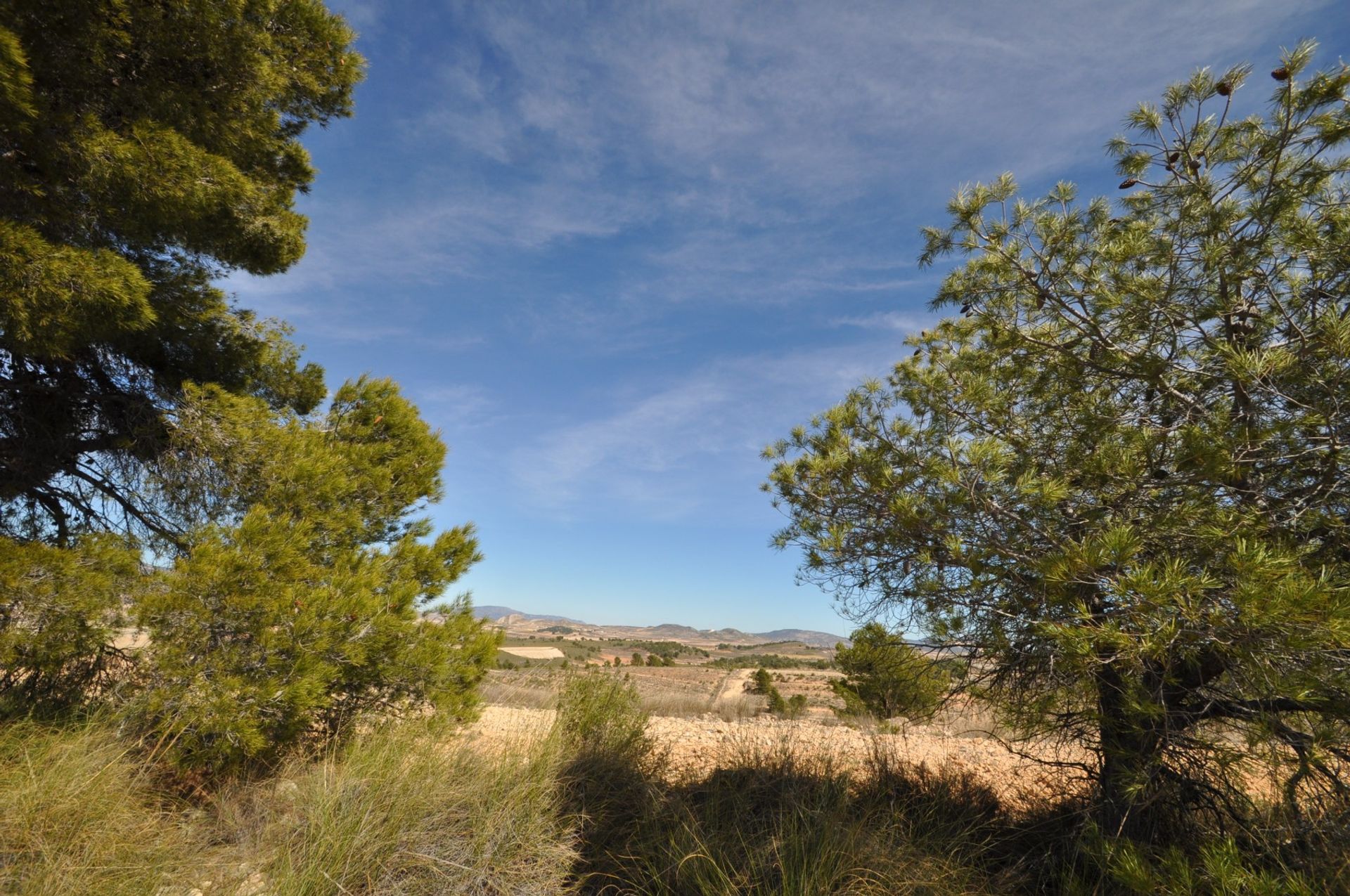 Land im La Zarza, Región de Murcia 10723474