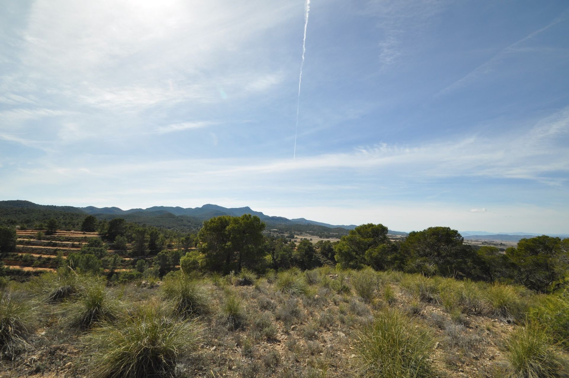 Land im La Zarza, Región de Murcia 10723474