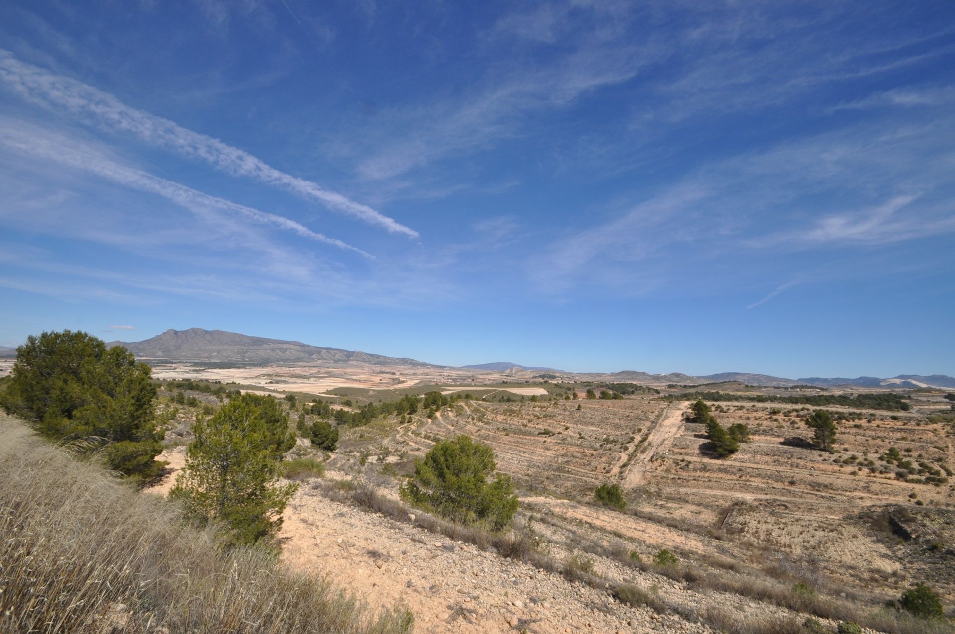 Land im La Zarza, Región de Murcia 10723474