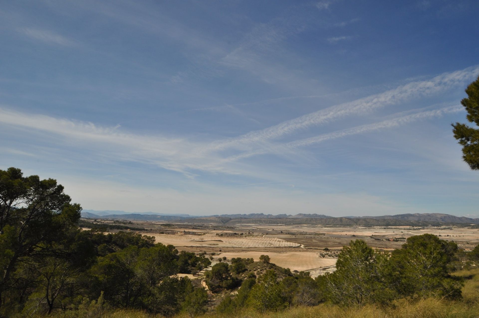 Land im La Zarza, Región de Murcia 10723474