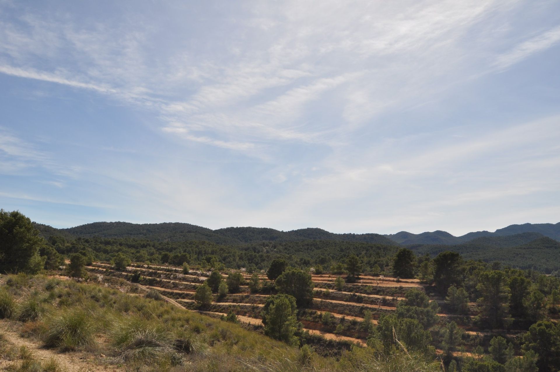 Land im La Zarza, Región de Murcia 10723474