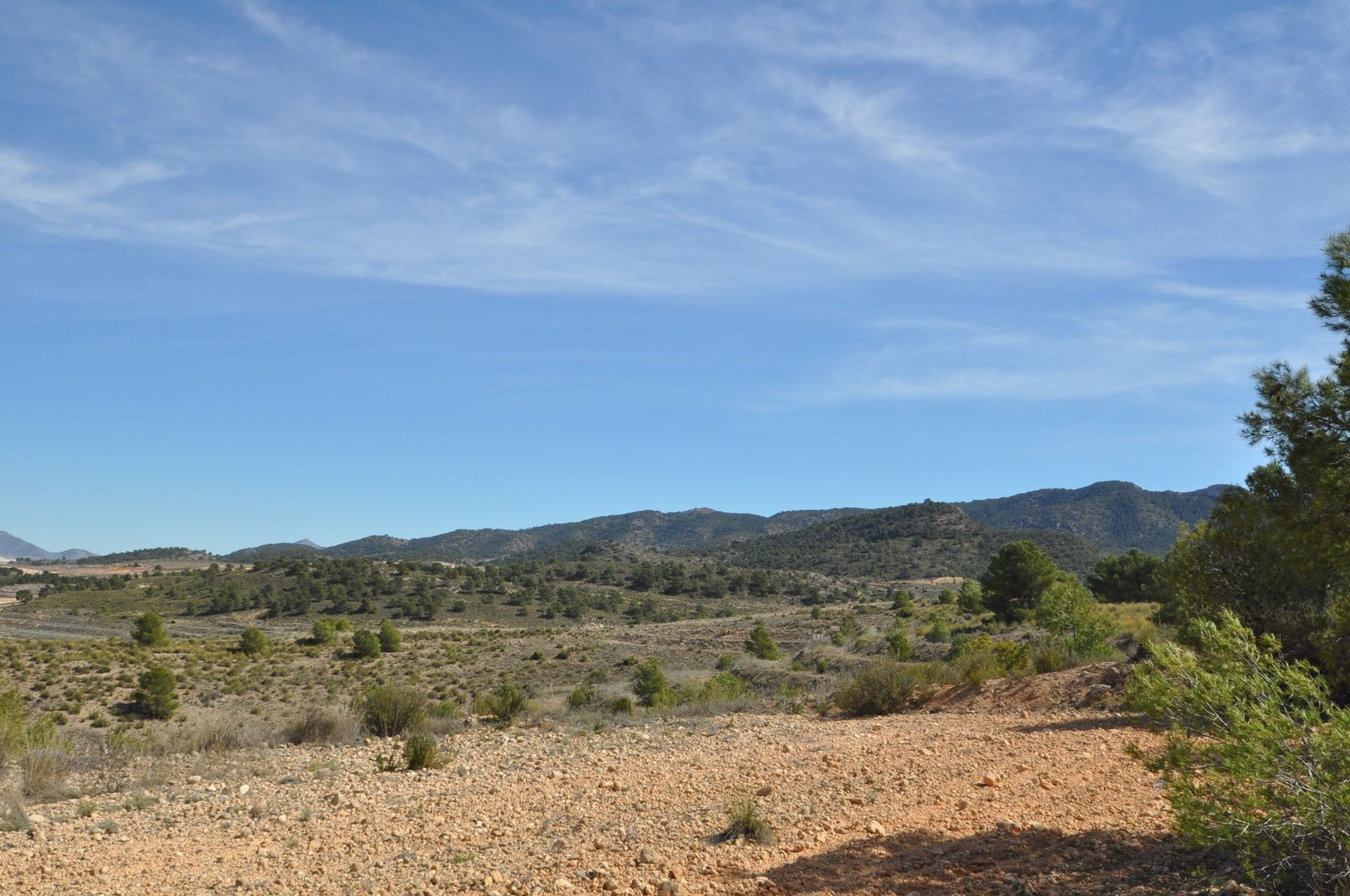 Land im La Zarza, Región de Murcia 10723474