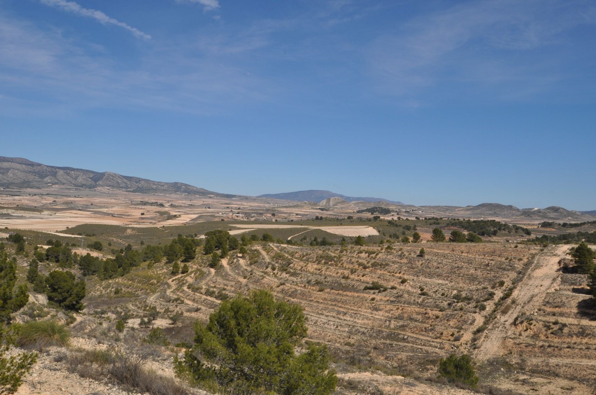 Land im La Zarza, Región de Murcia 10723474