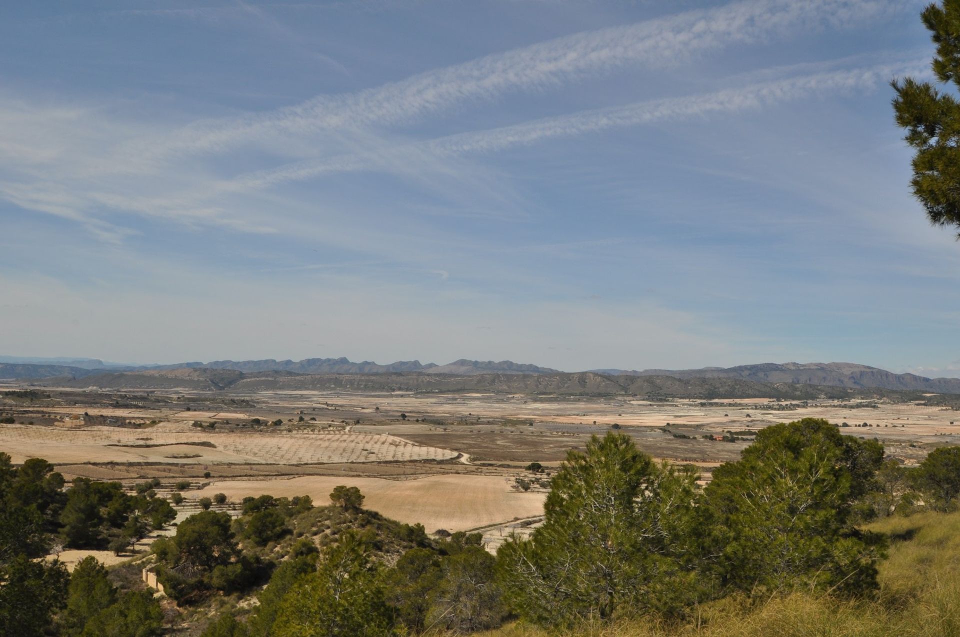 Land im La Zarza, Región de Murcia 10723474