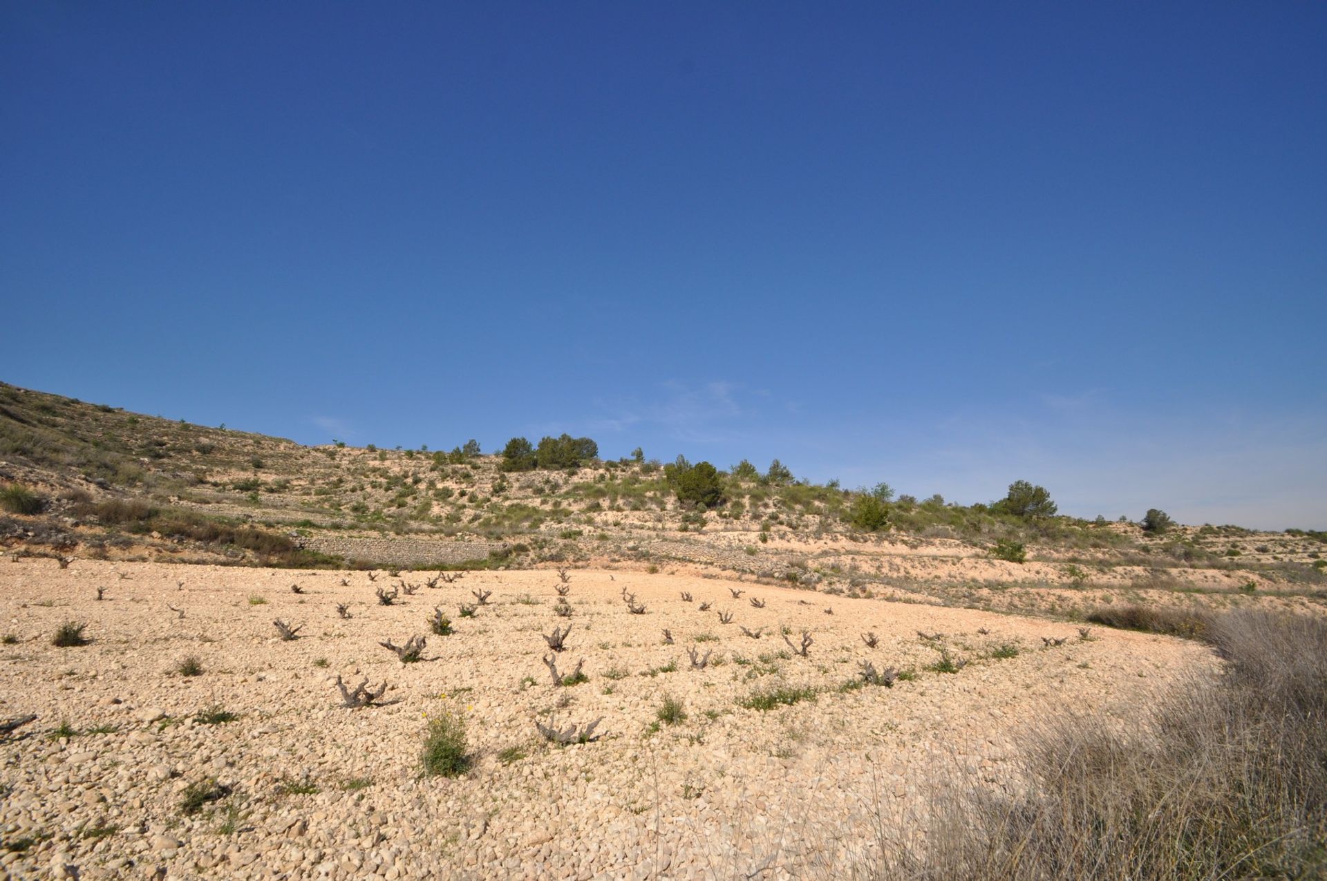 Land in La Zarza, Región de Murcia 10723476