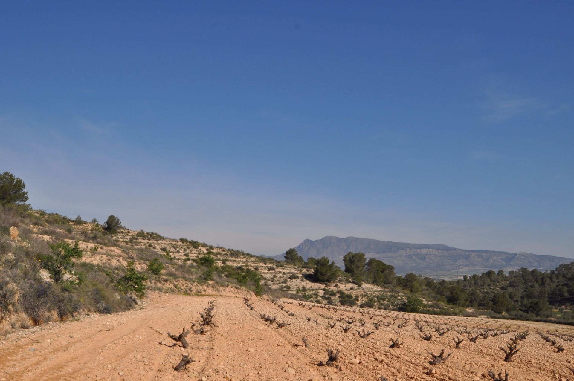 Земельные участки в La Zarza, Región de Murcia 10723476