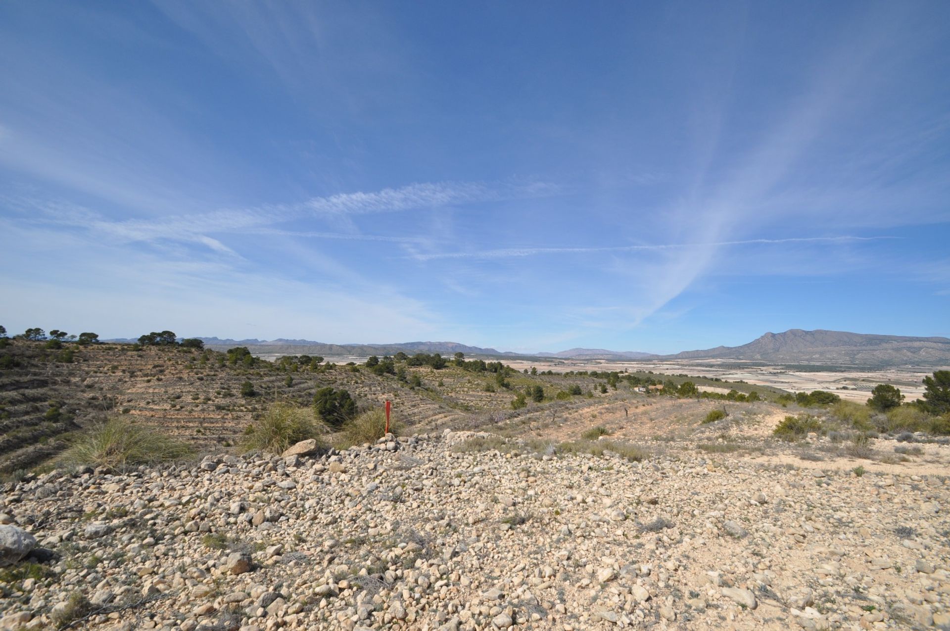 Land in La Zarza, Región de Murcia 10723476