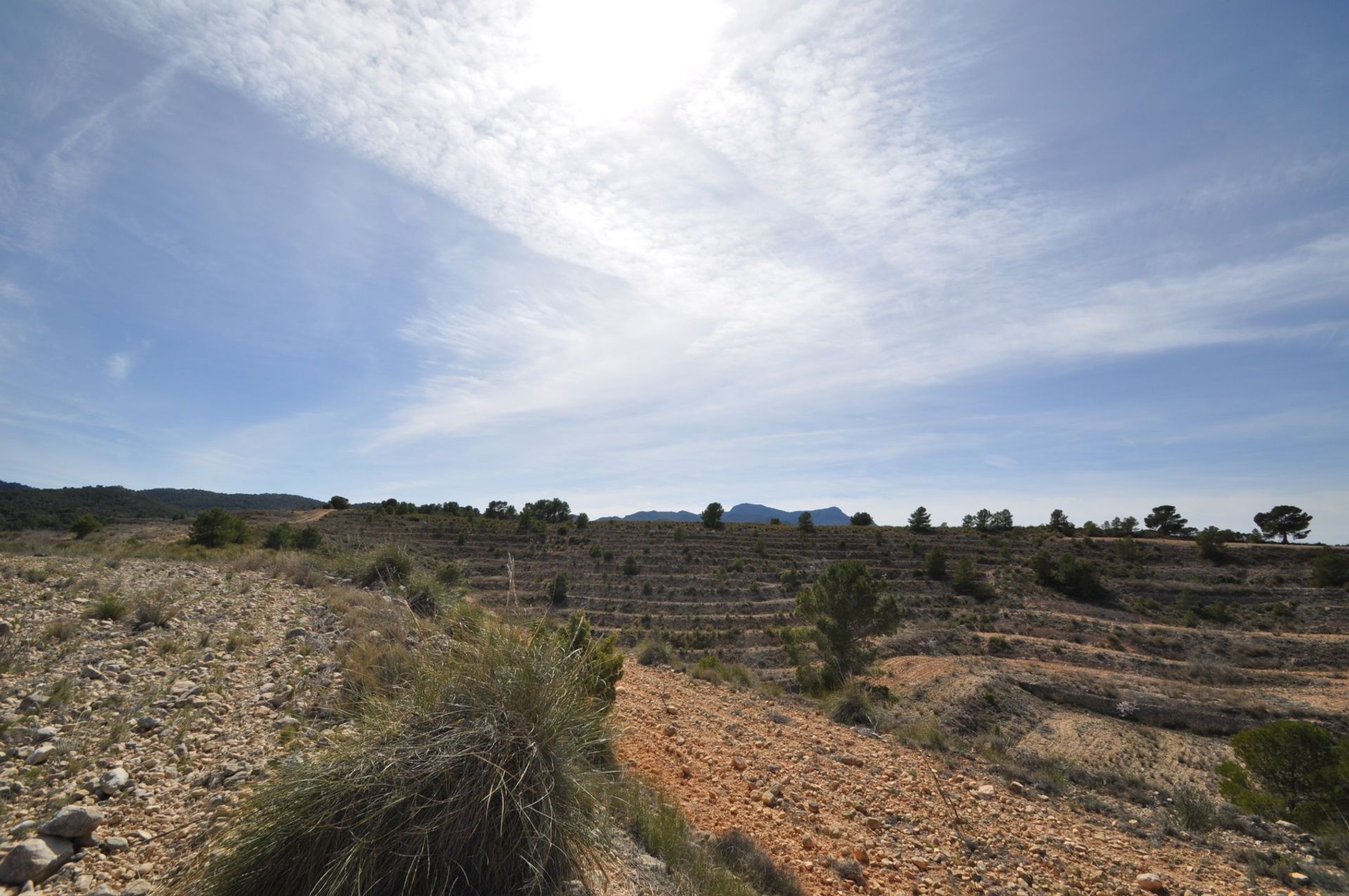 Земельные участки в La Zarza, Región de Murcia 10723476