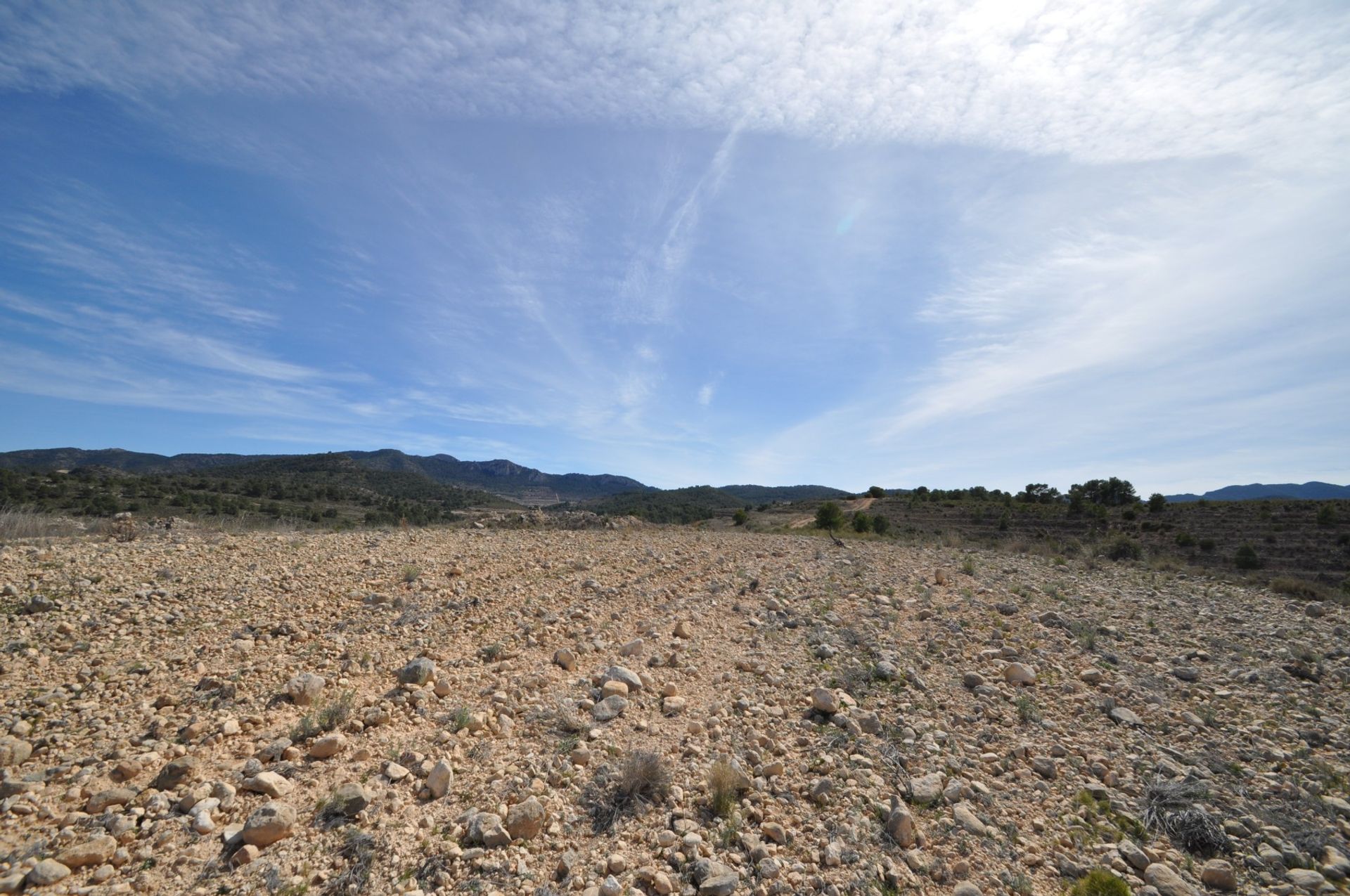 Land in La Zarza, Región de Murcia 10723476