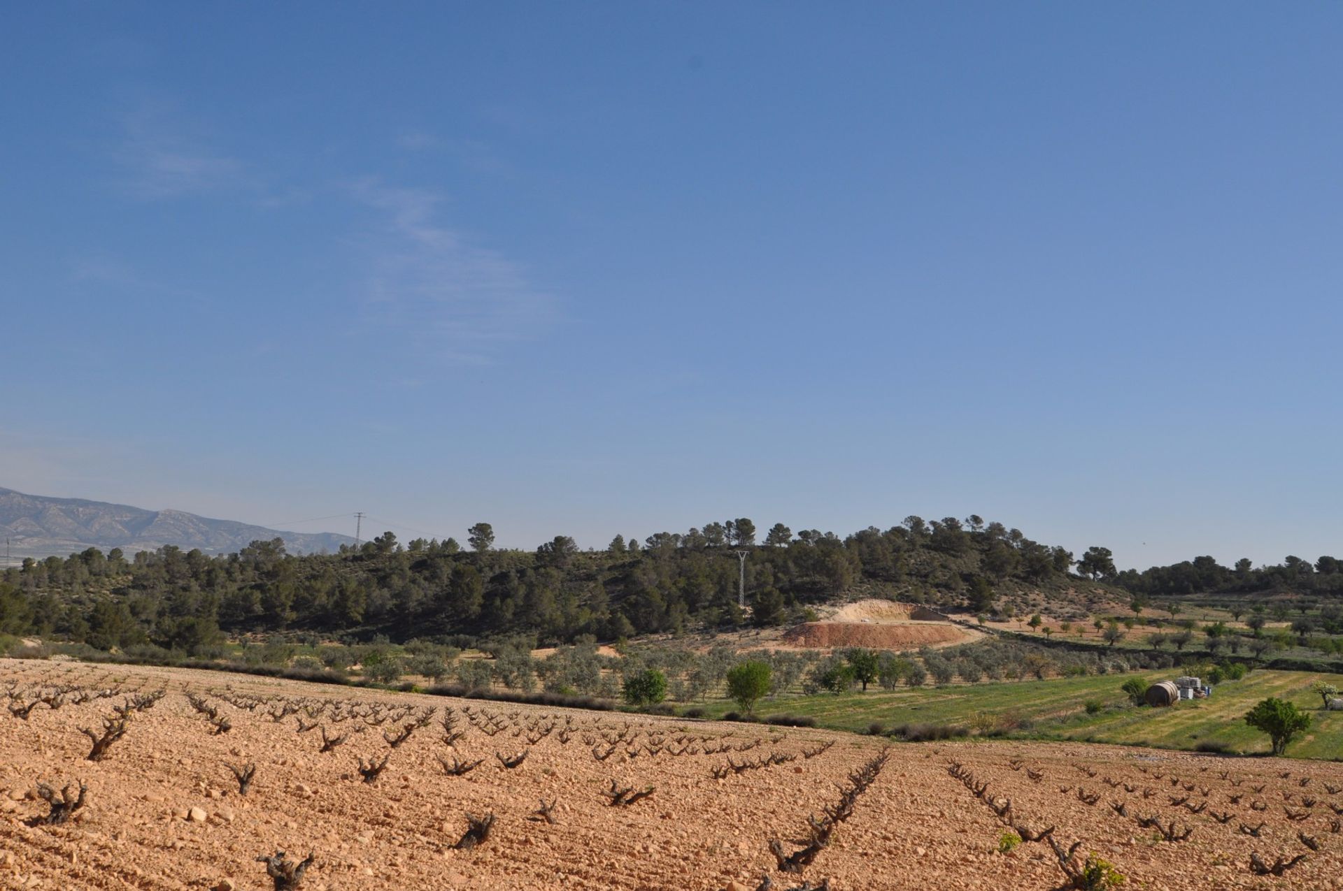 Maa sisään La Zarza, Región de Murcia 10723476