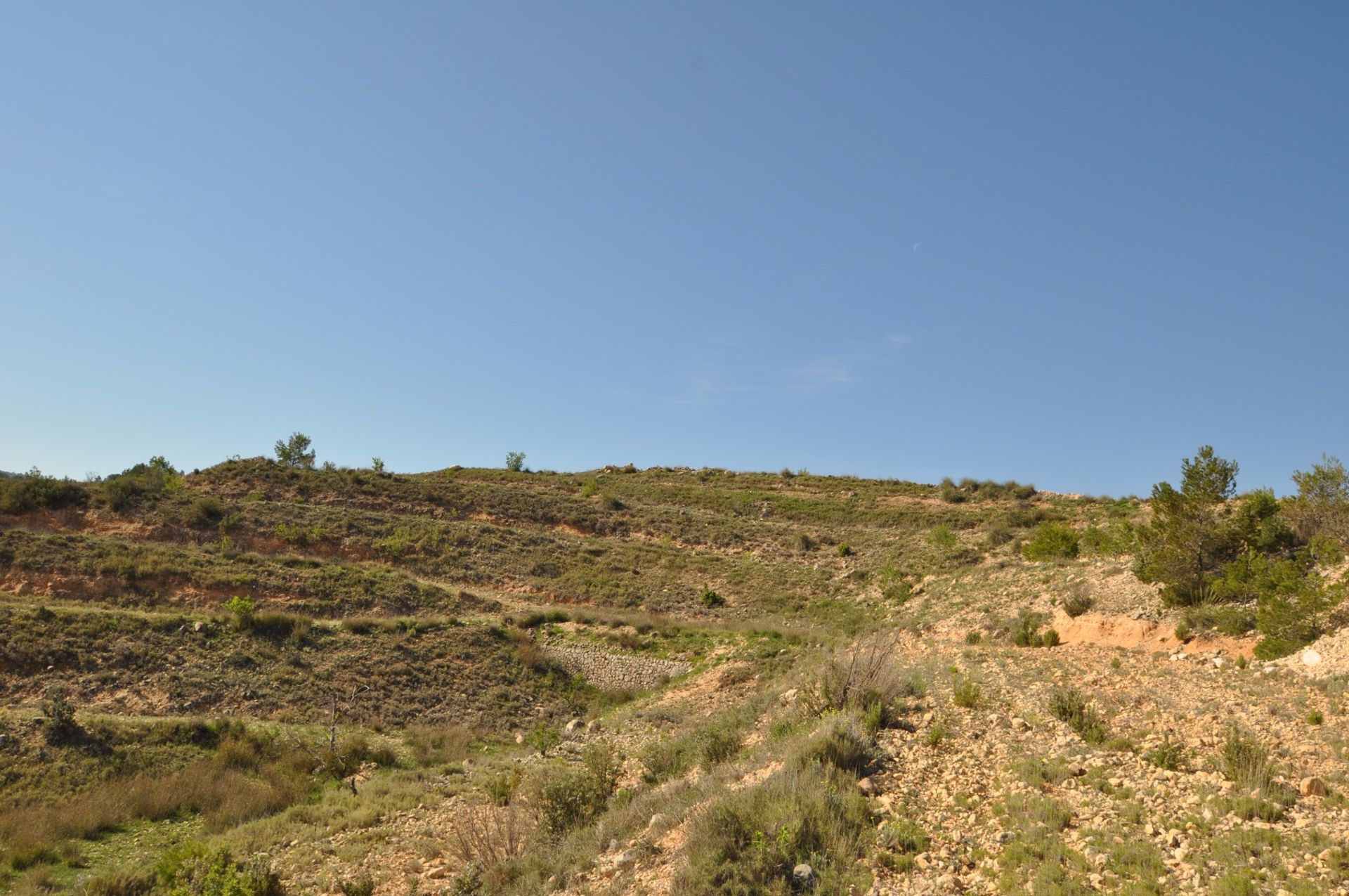 Tanah di La Zarza, Región de Murcia 10723477