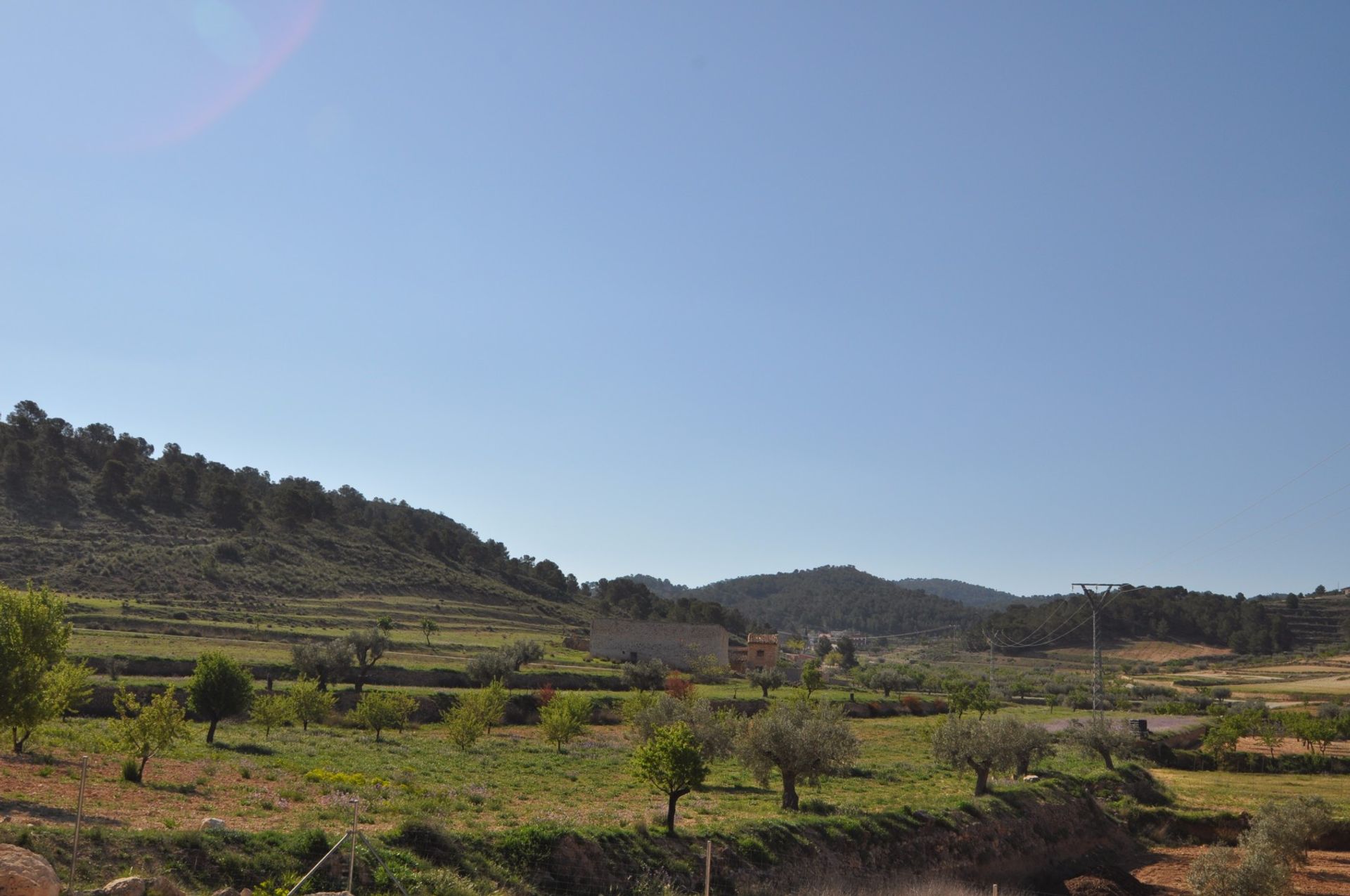 Land in La Zarza, Región de Murcia 10723478