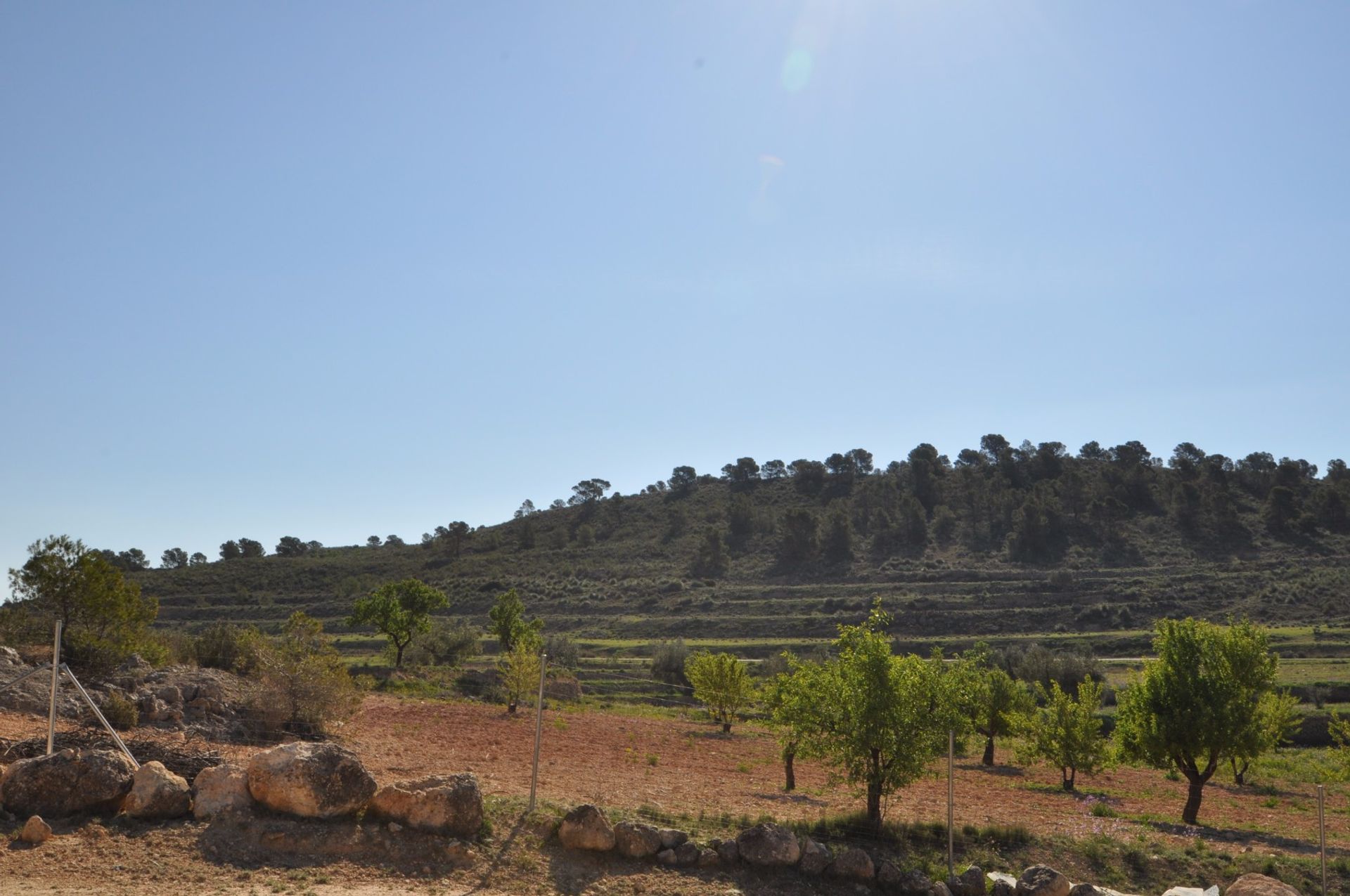 土地 在 La Zarza, Región de Murcia 10723478