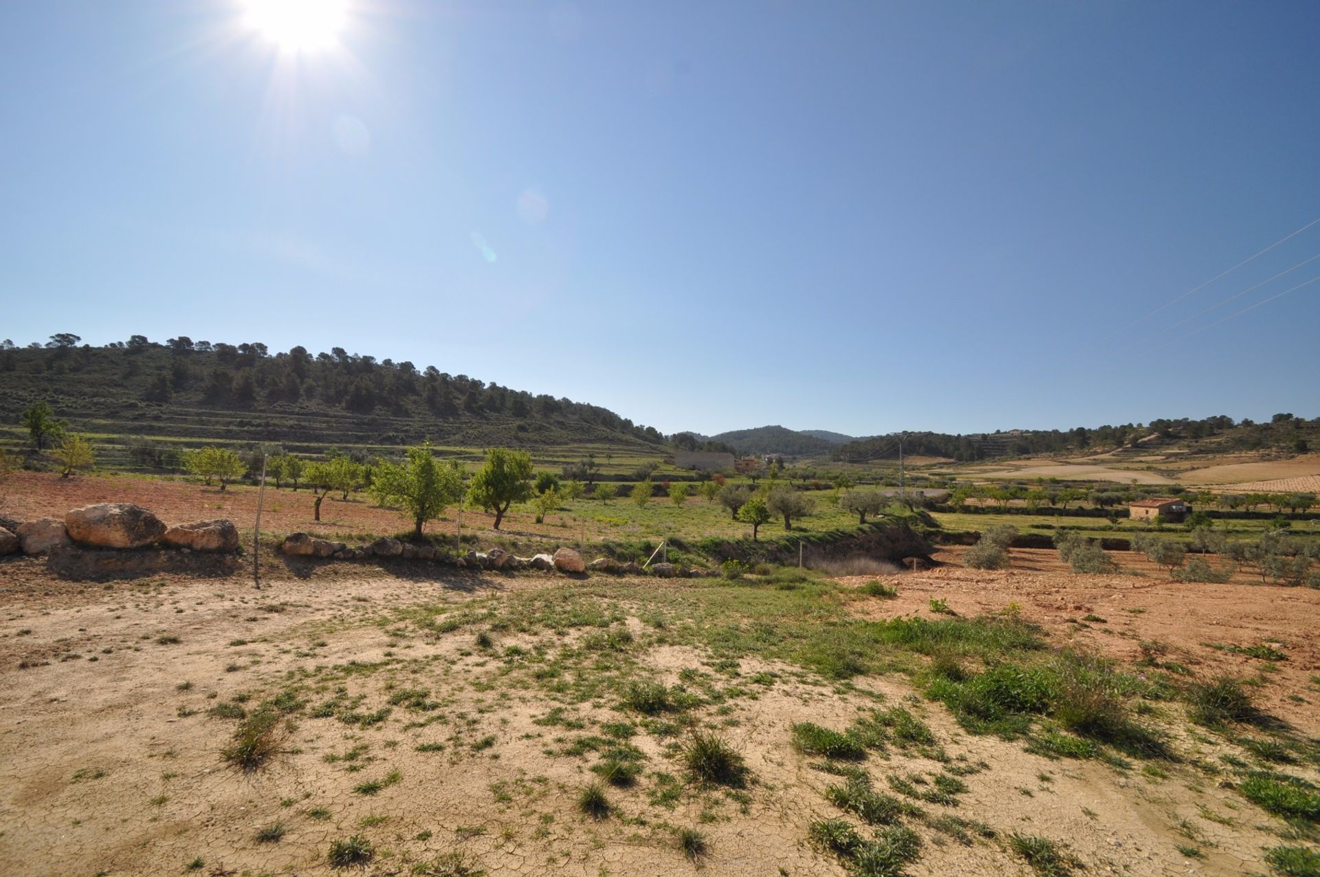 Land in La Zarza, Región de Murcia 10723478