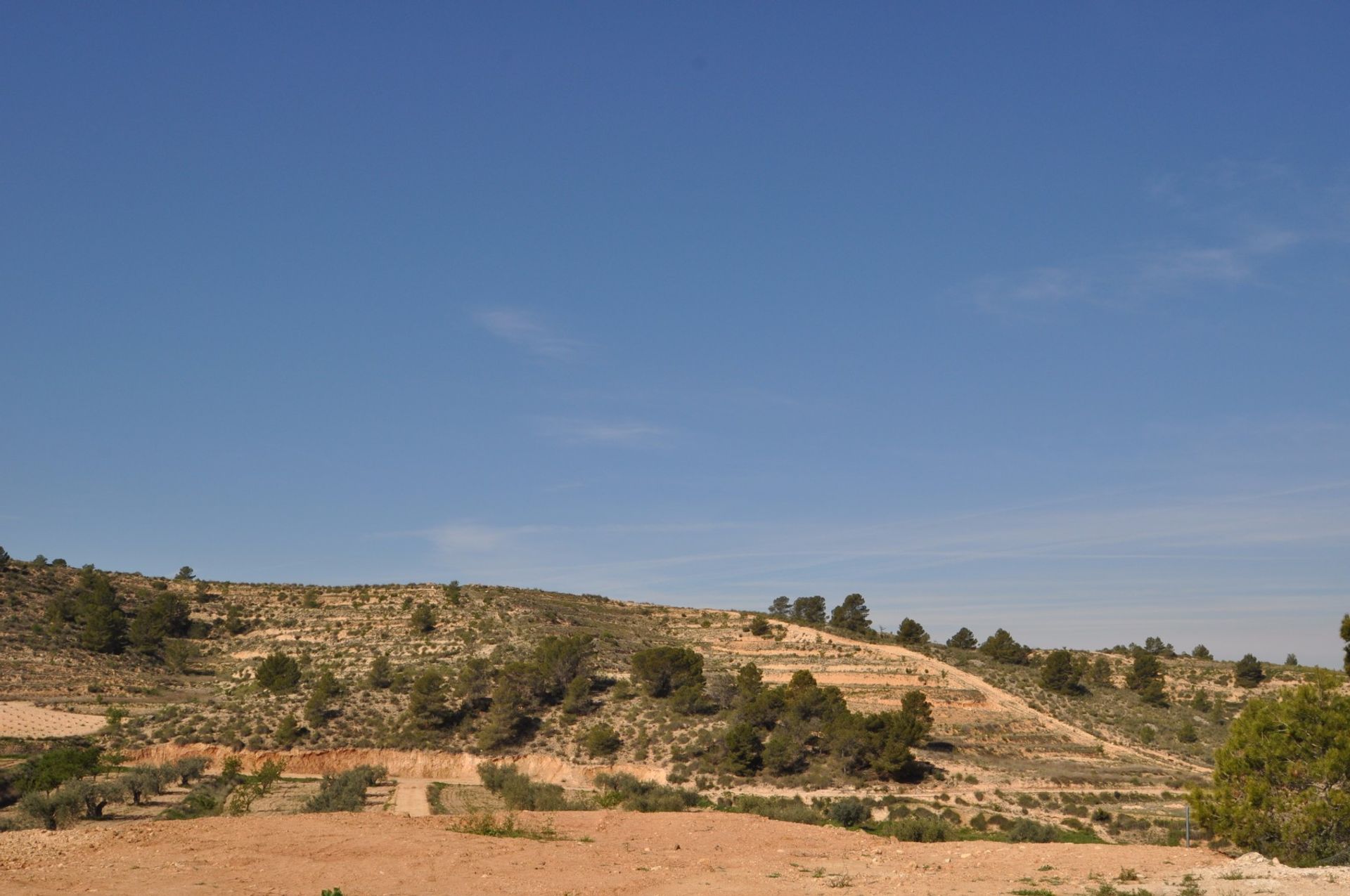 土地 在 La Zarza, Región de Murcia 10723478