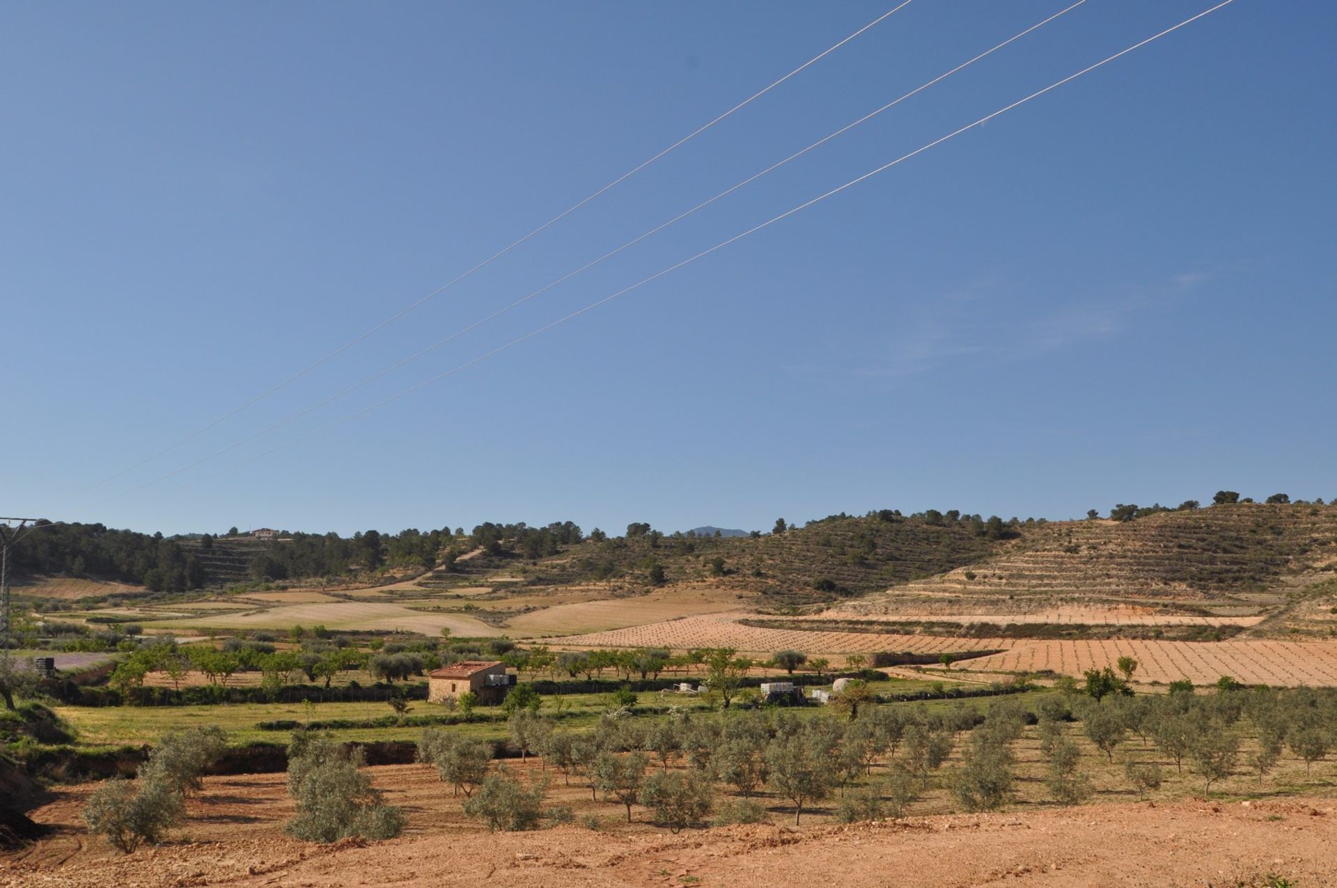 Maa sisään La Zarza, Región de Murcia 10723478