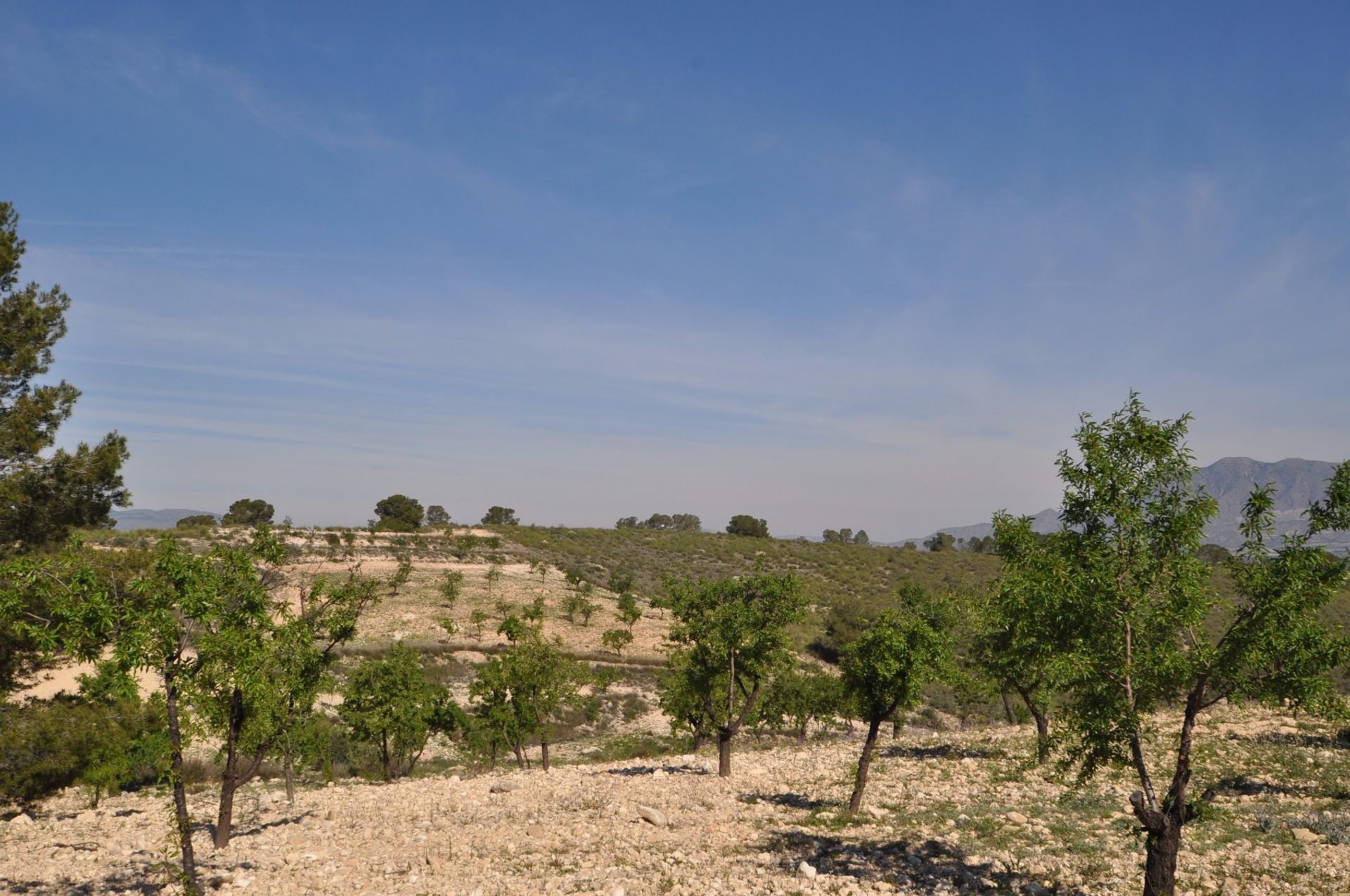 Земельные участки в La Zarza, Región de Murcia 10723479