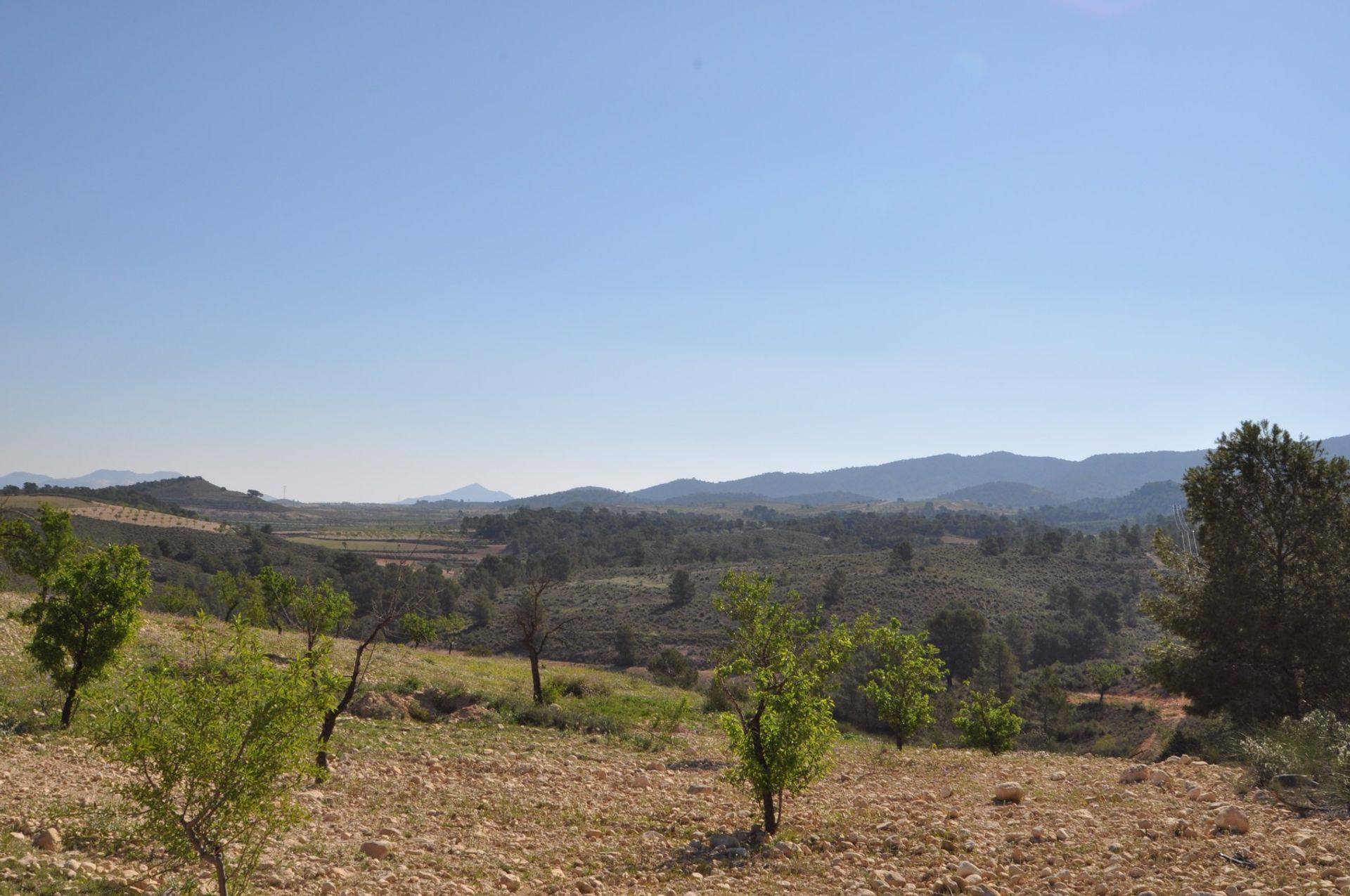 Земельные участки в La Zarza, Región de Murcia 10723479