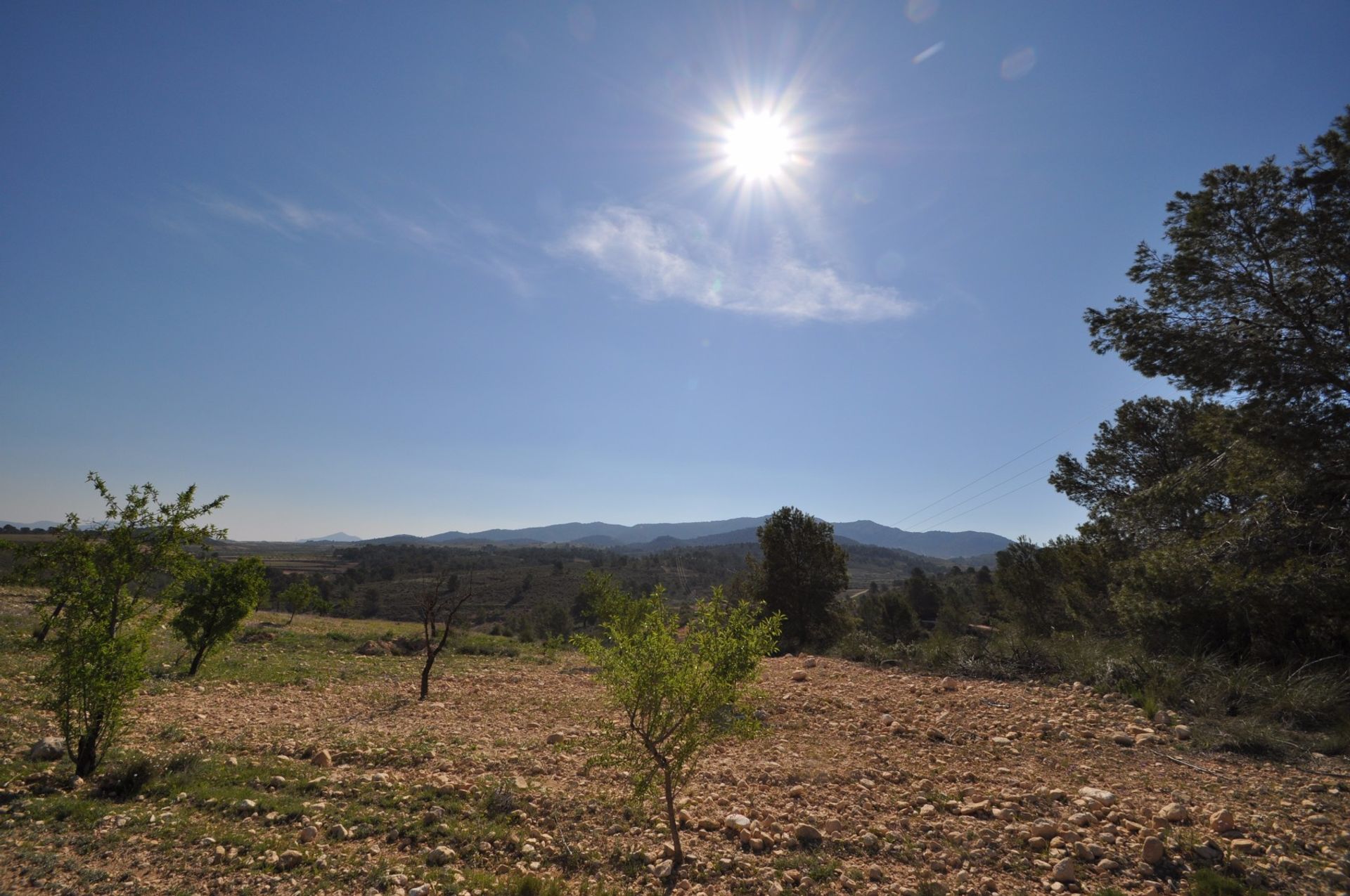 Земельные участки в La Zarza, Región de Murcia 10723479