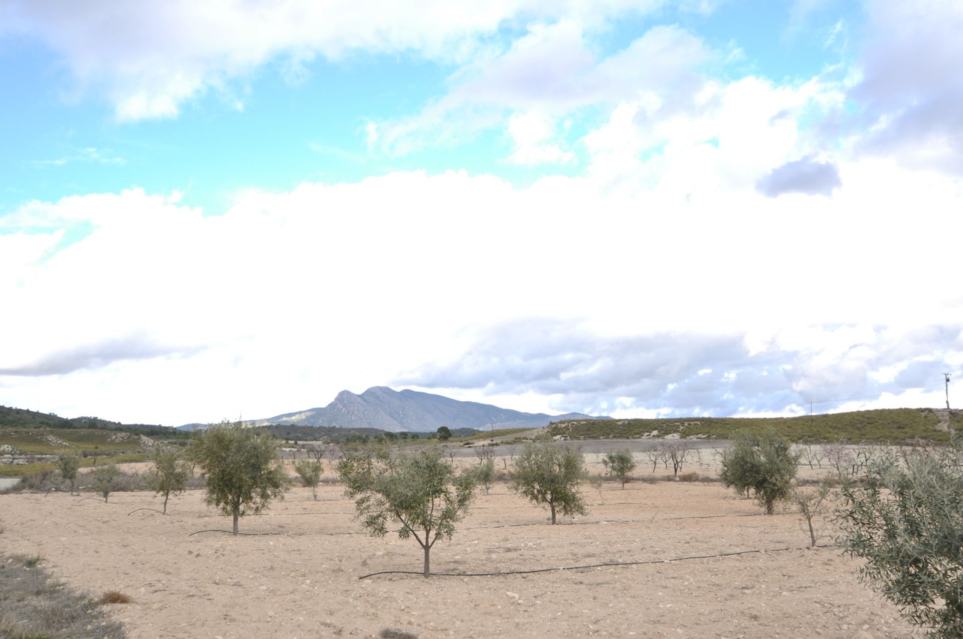 casa no Jumilla, Región de Murcia 10723495