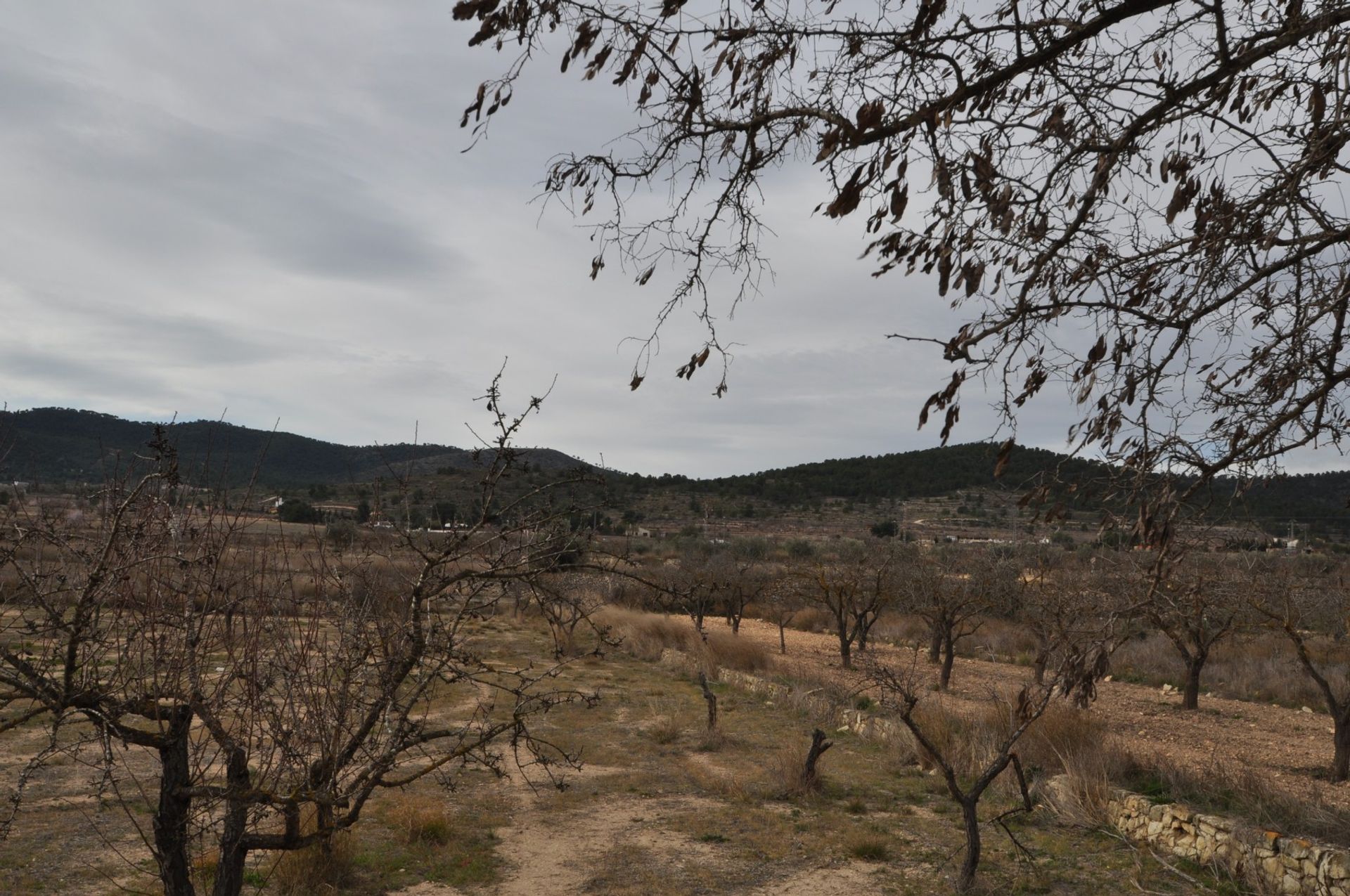 casa no El Xinorlet, Comunidad Valenciana 10723496