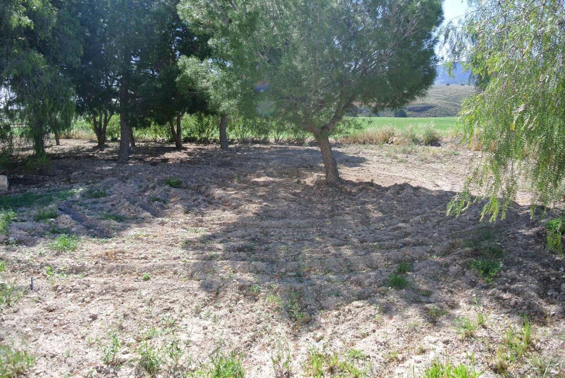 rumah dalam Jumilla, Región de Murcia 10723512