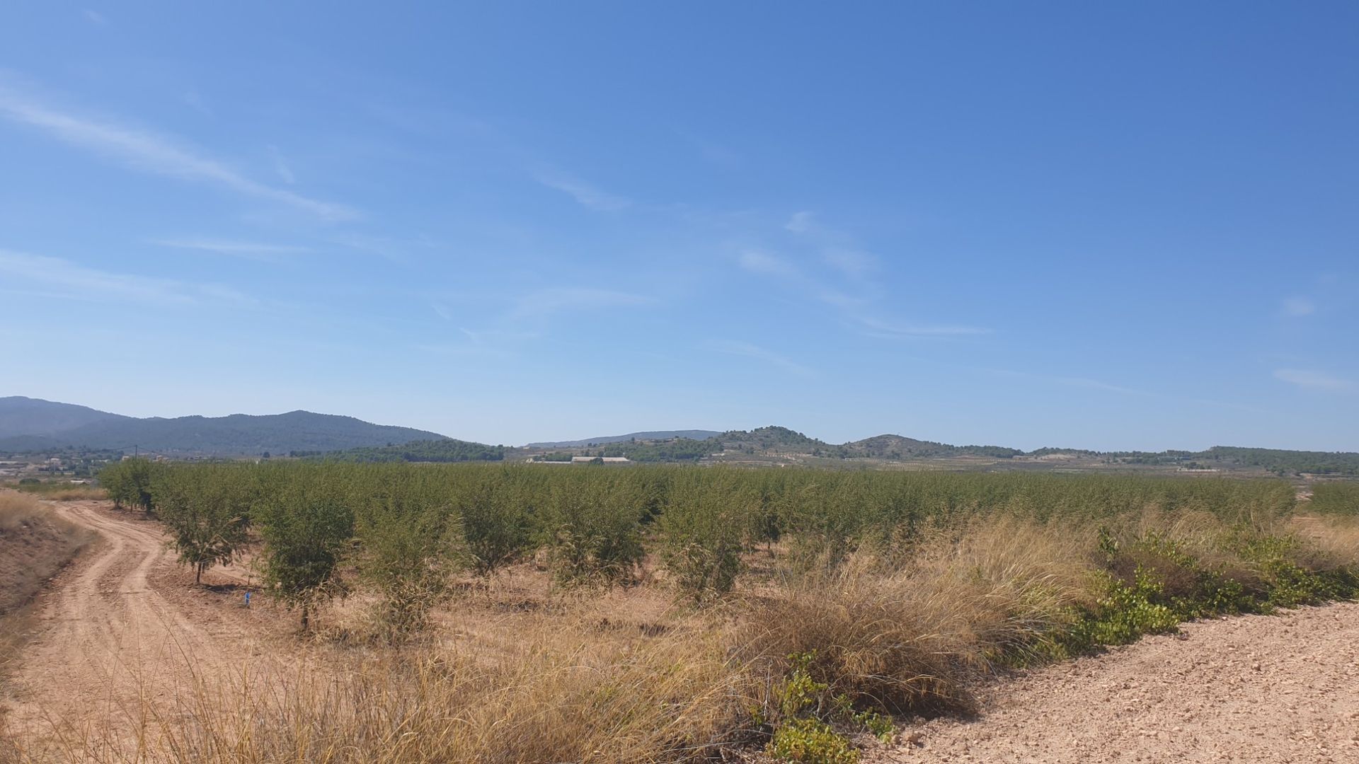 Tierra en Pinoso, Comunidad Valenciana 10723516