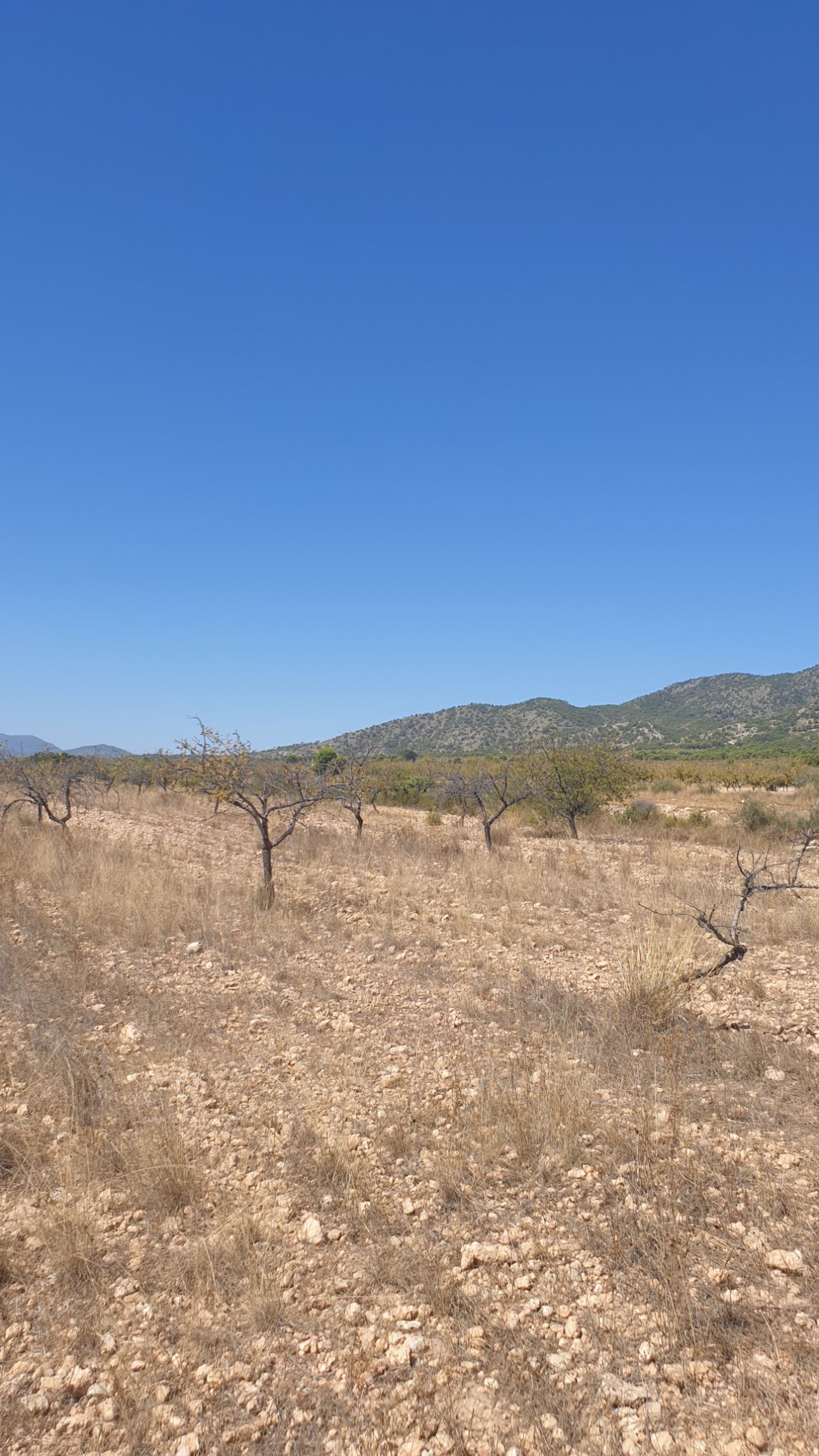 Γη σε Ο Πινόσο, Βαλένθια 10723518