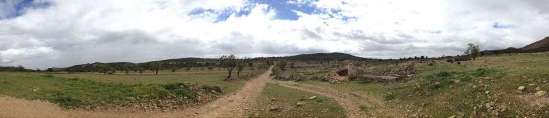 Tanah di Yecla, Región de Murcia 10723532