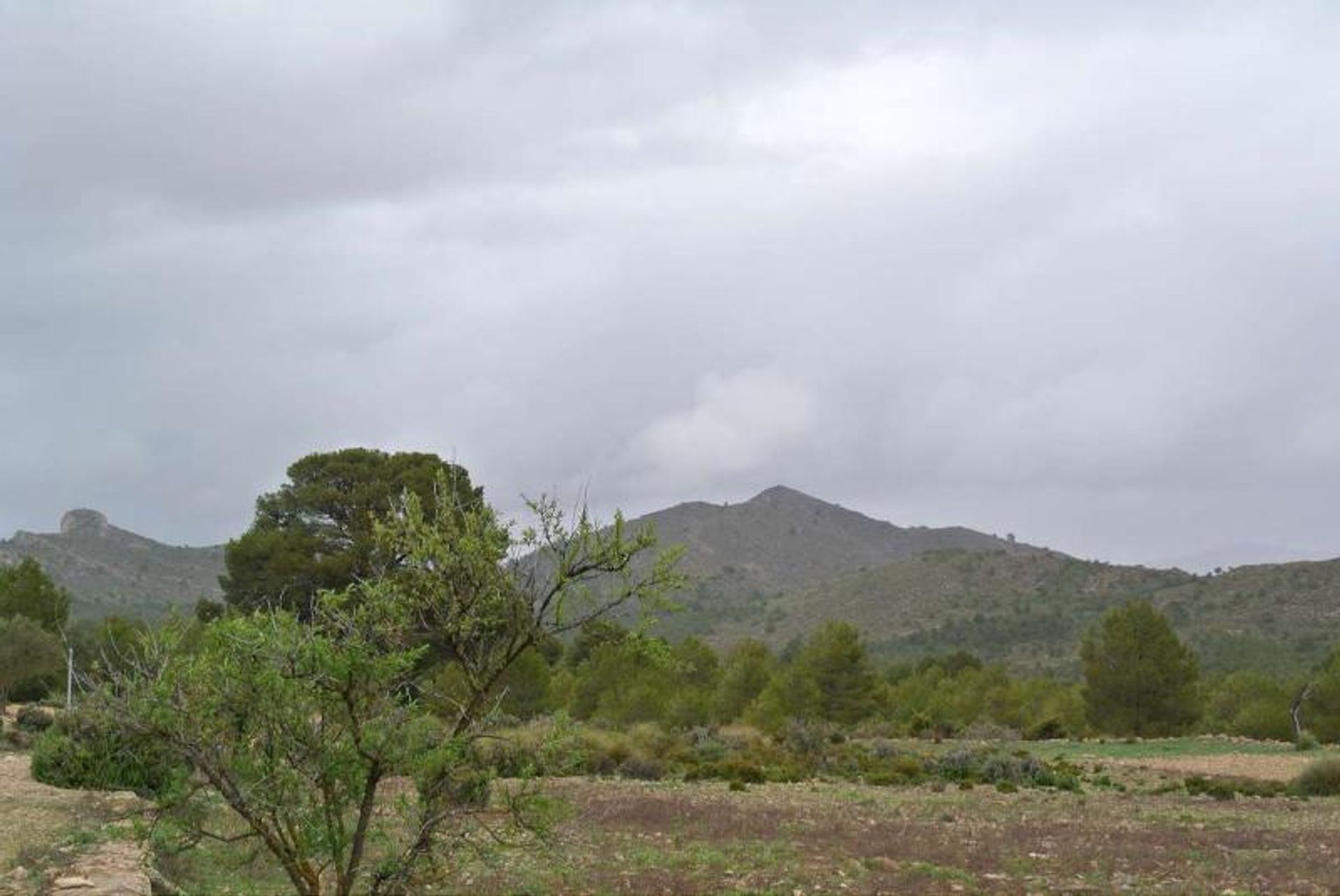 Tanah di Yecla, Región de Murcia 10723532