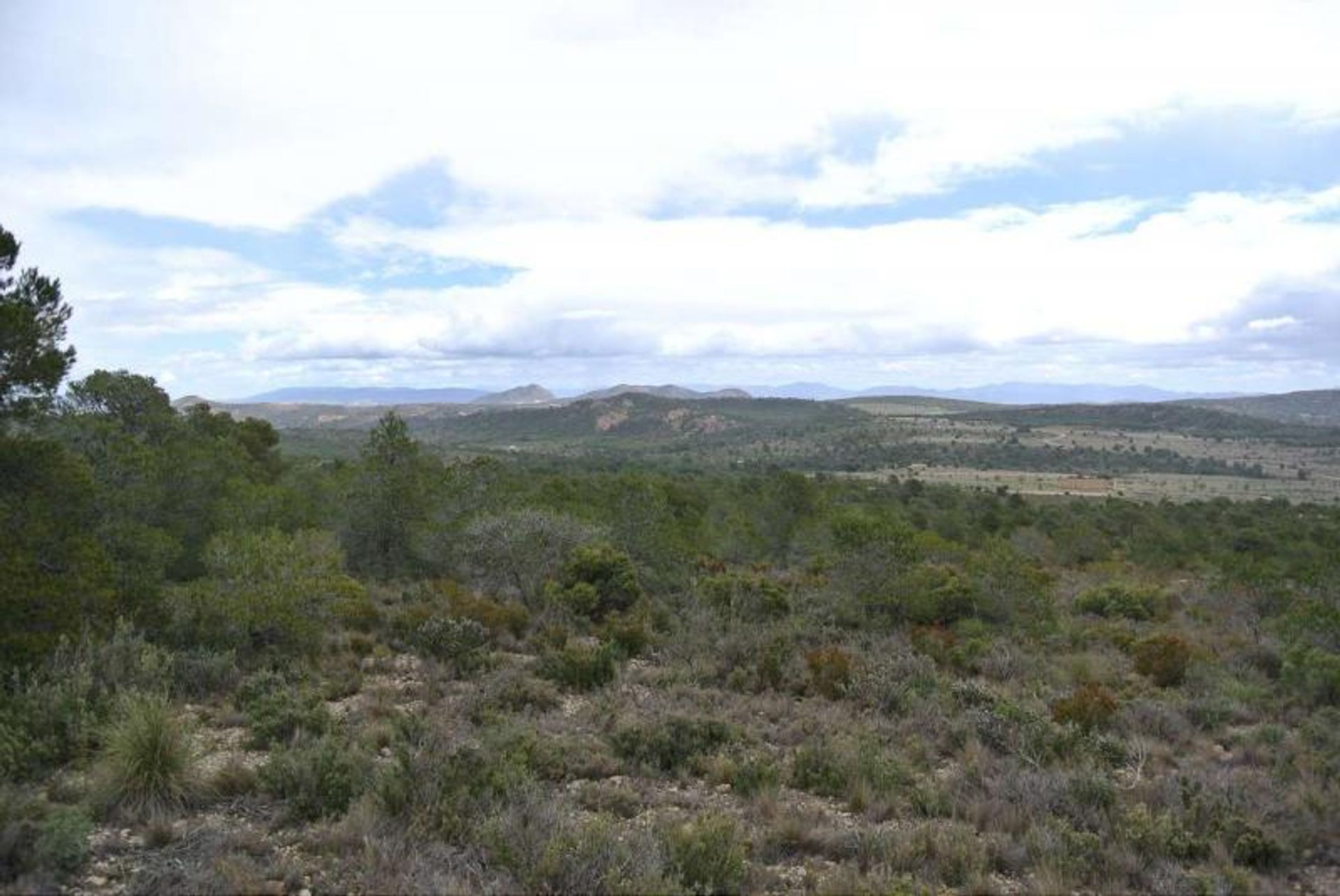 Tanah di Yecla, Región de Murcia 10723532