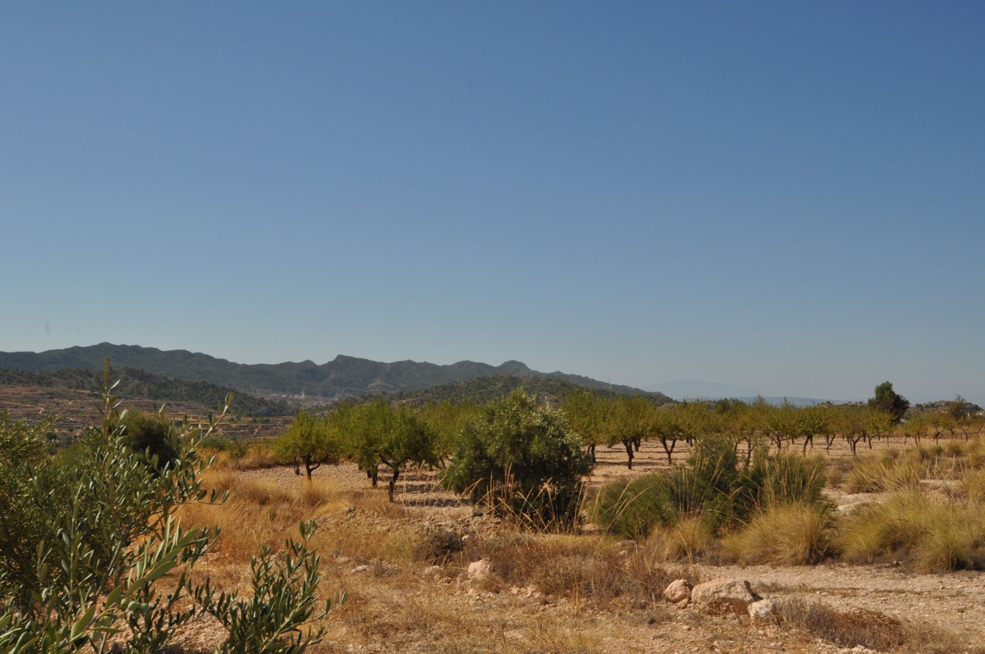 Tanah di Abanilla, Región de Murcia 10723564