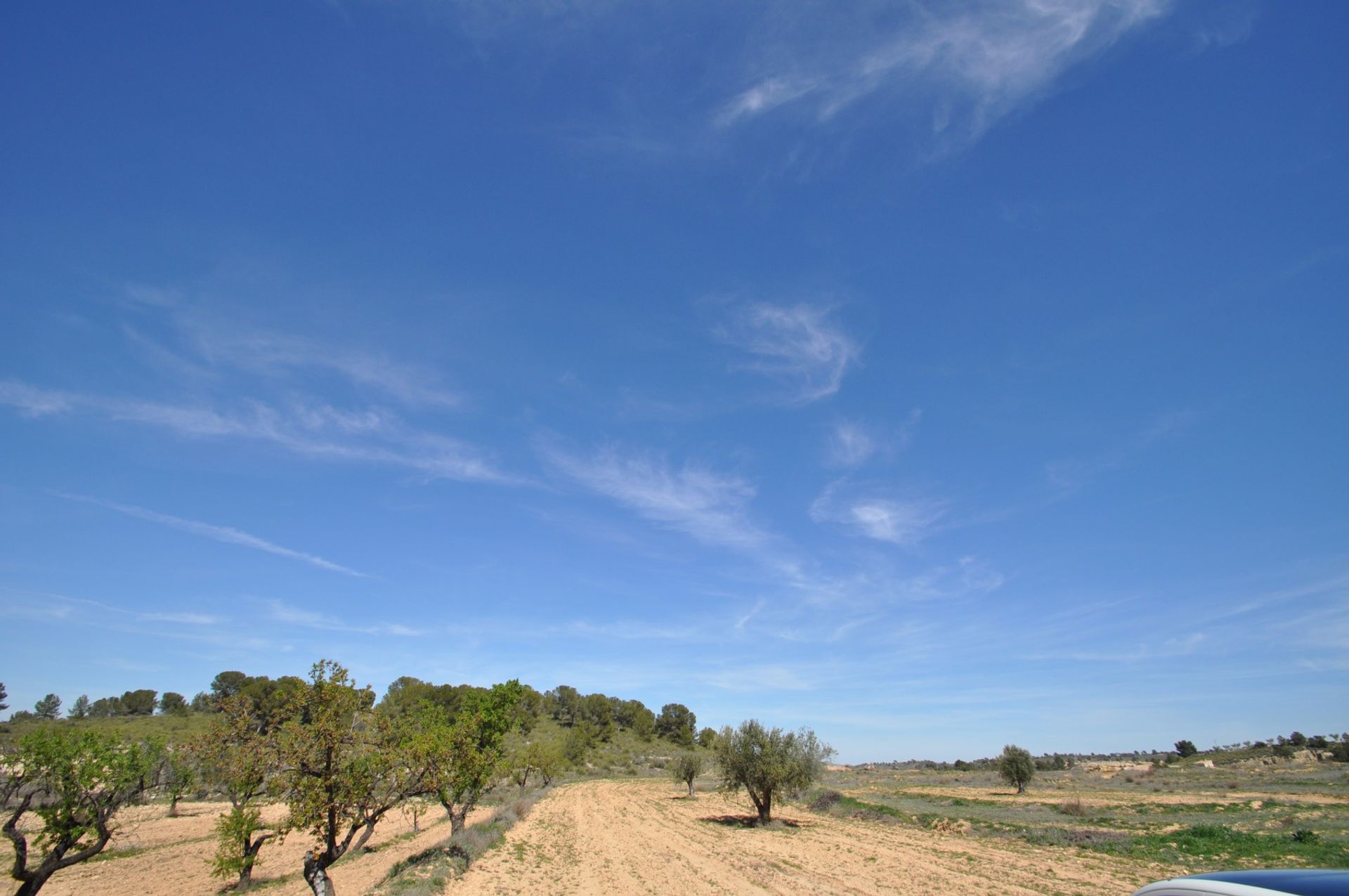 Land in Pinoso, Valencia 10723572