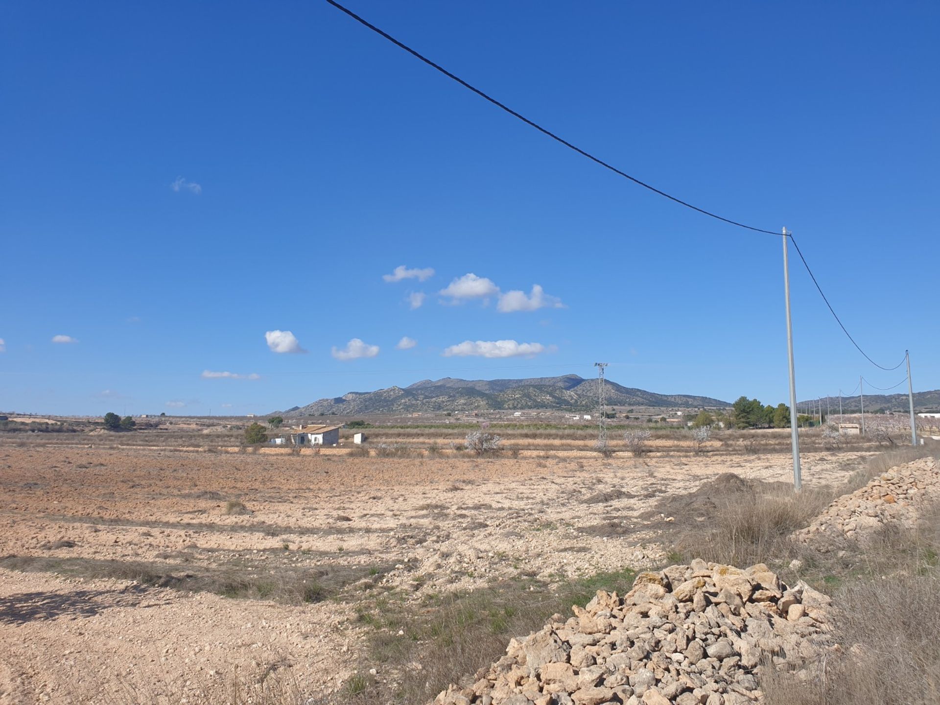 Land in Pinoso, Comunidad Valenciana 10723590