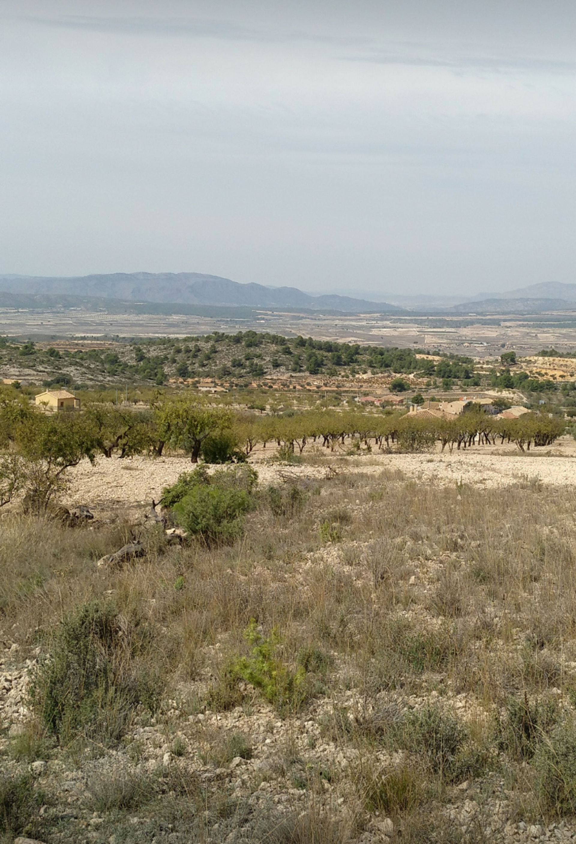 Land in Abanilla, Región de Murcia 10723591