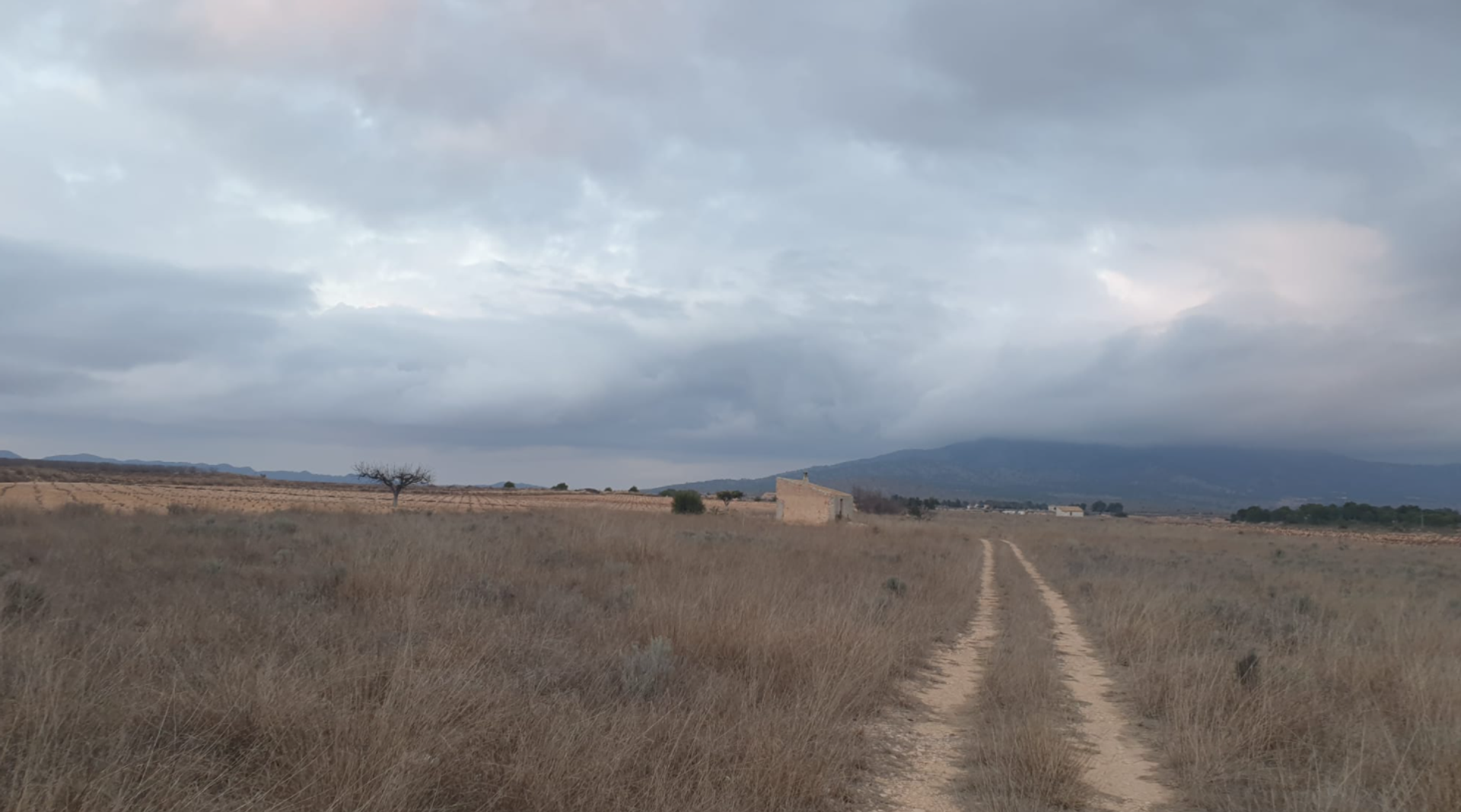 Tanah di Pinoso, Comunidad Valenciana 10723615