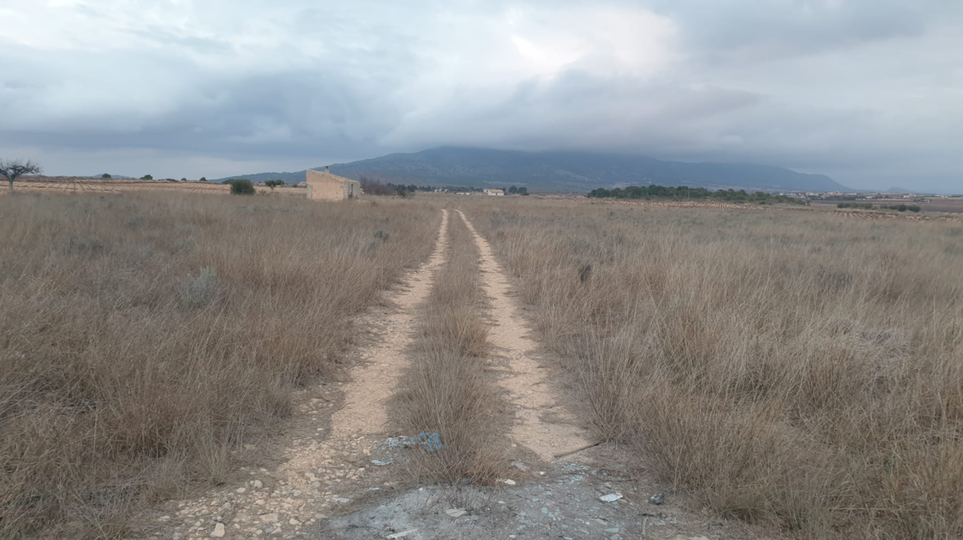 Tanah di Pinoso, Valencia 10723615