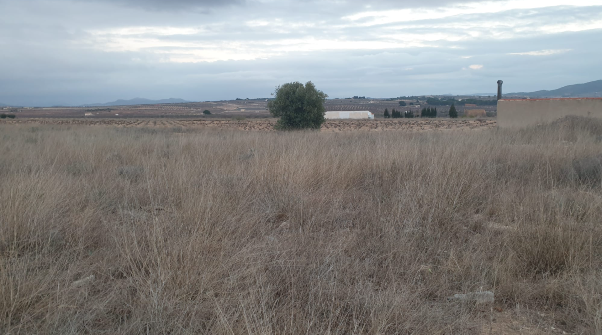 Tanah di Pinoso, Comunidad Valenciana 10723615