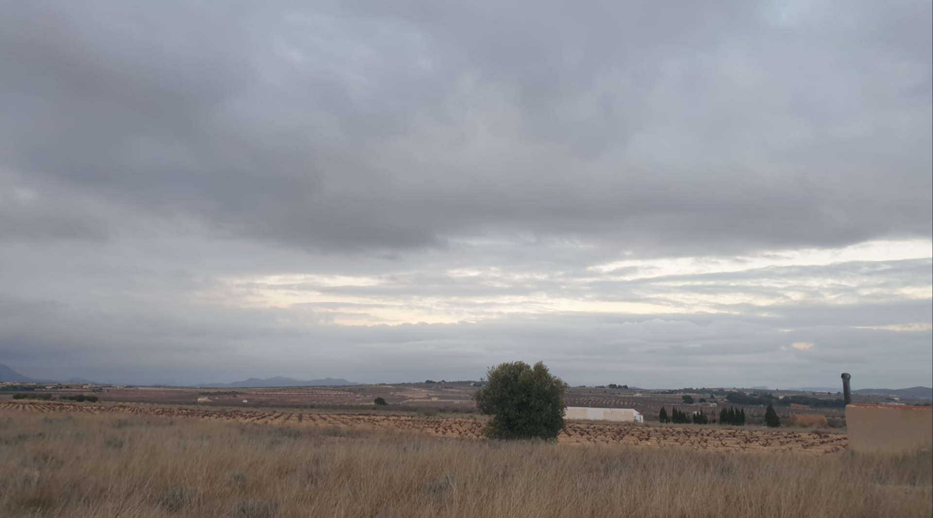 Tanah di Pinoso, Comunidad Valenciana 10723615