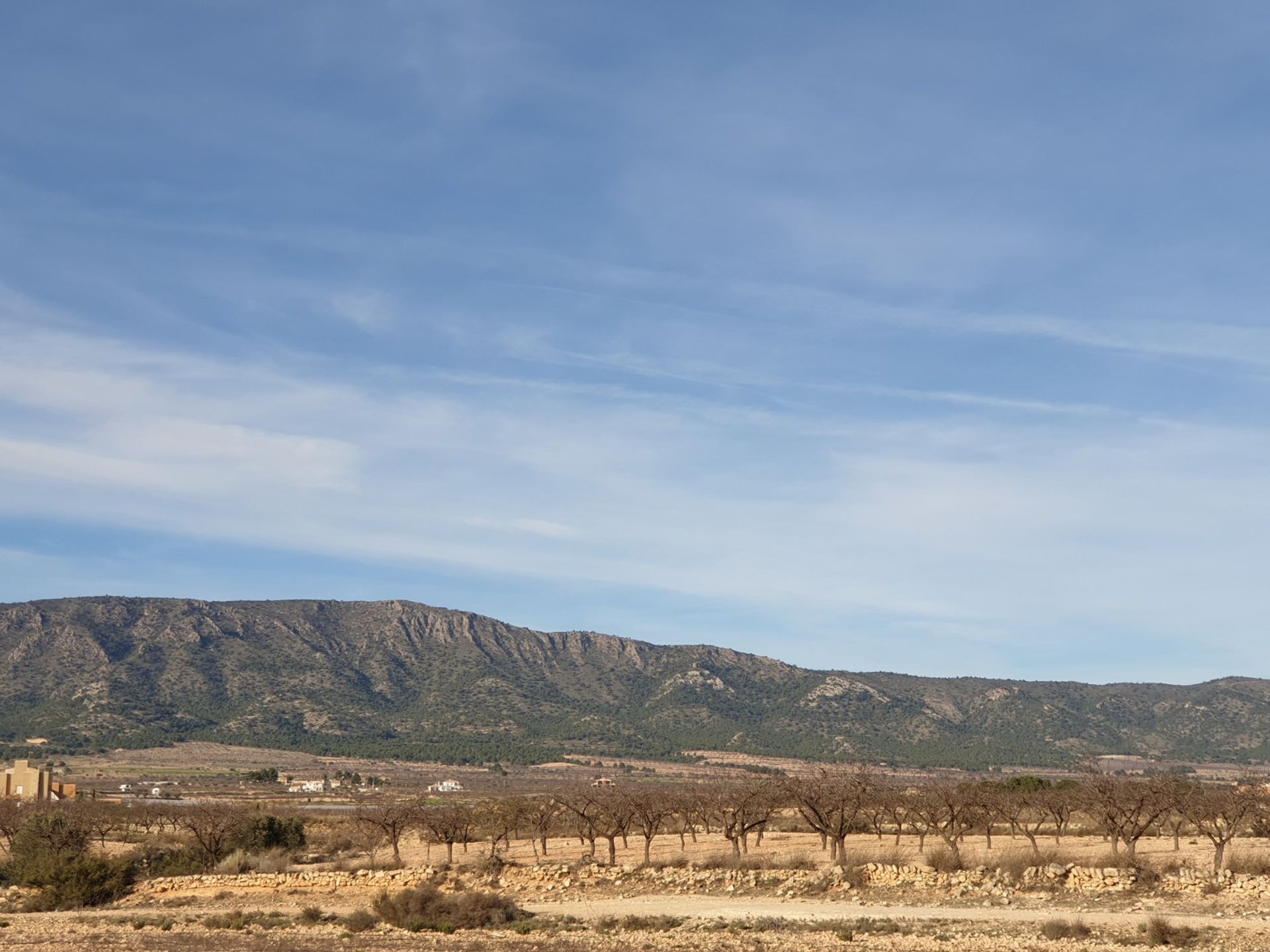 Tierra en Pinoso, Comunidad Valenciana 10723617