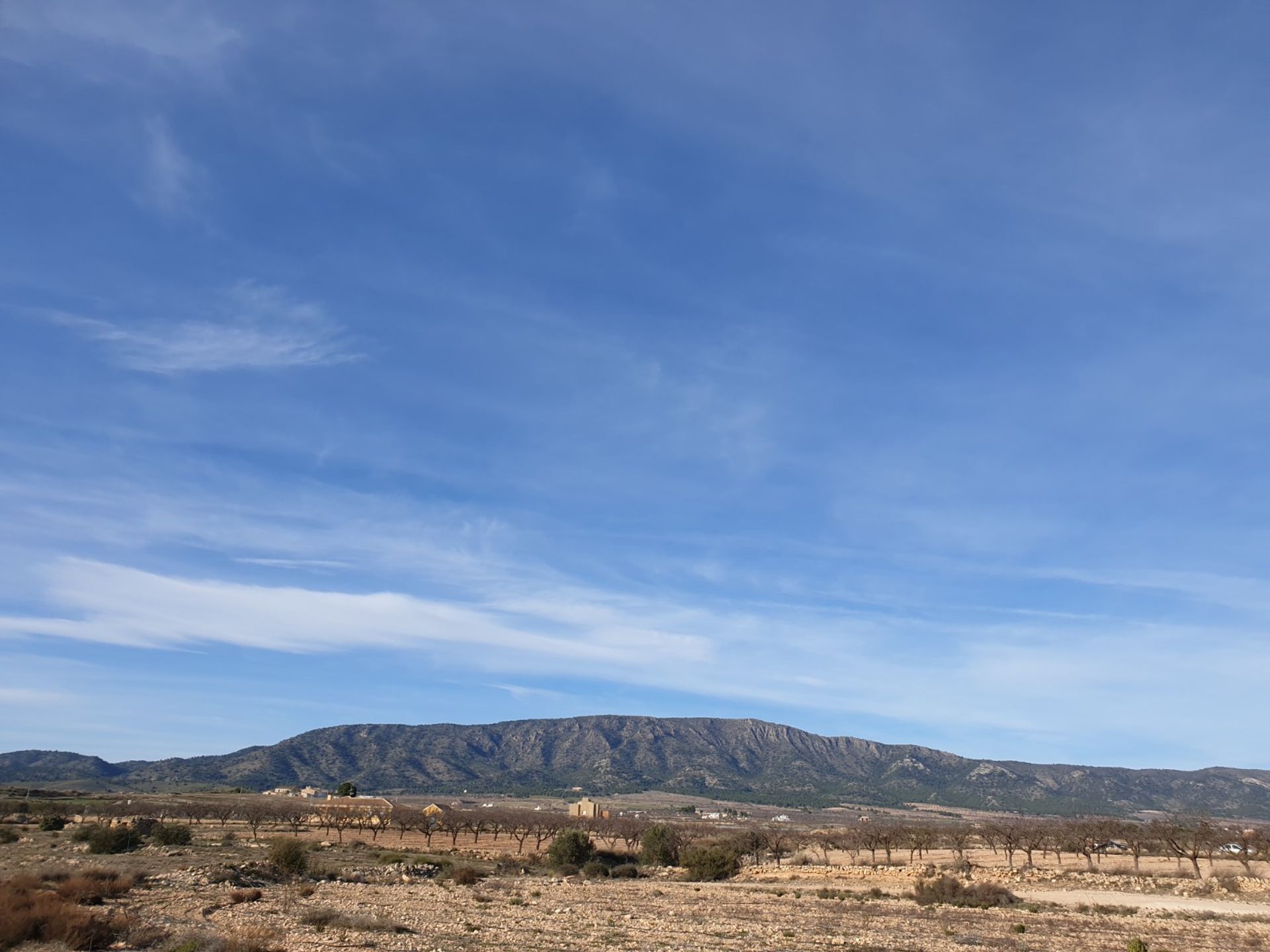 Tierra en Pinoso, Comunidad Valenciana 10723617